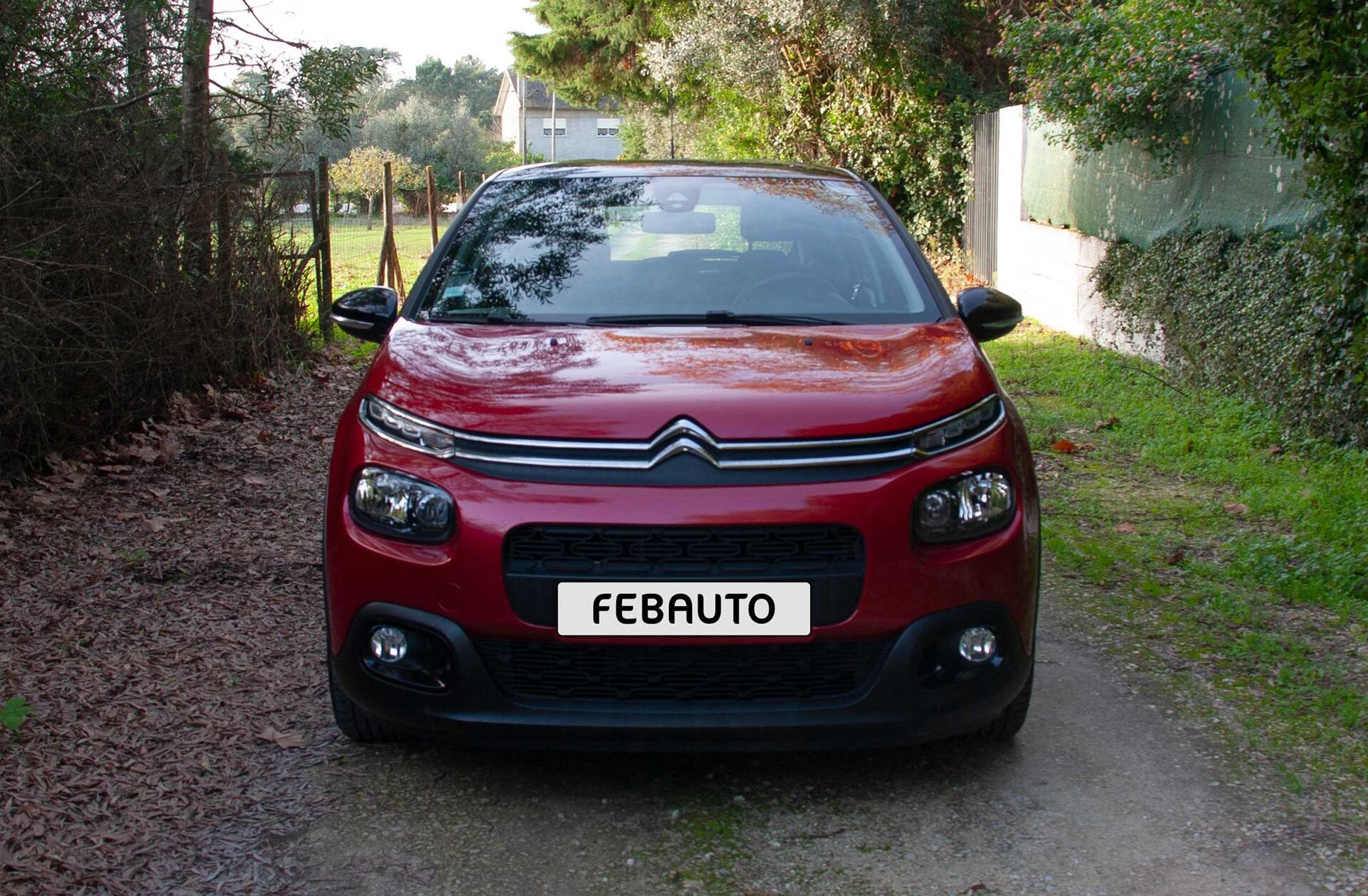 CITROEN C3 1.2 PureTech Shine