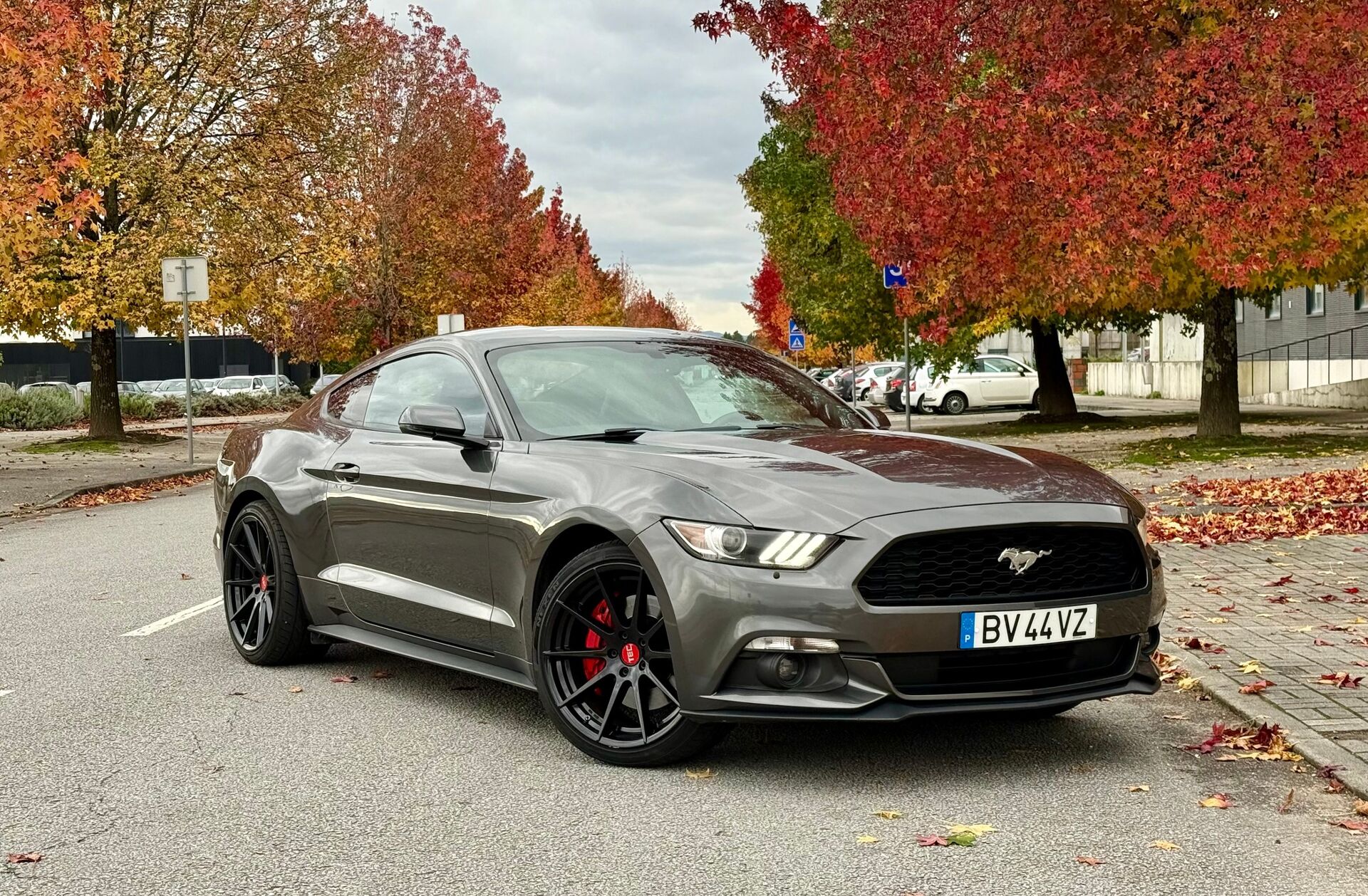 FORD Mustang 2.3i EcoBoost Aut.