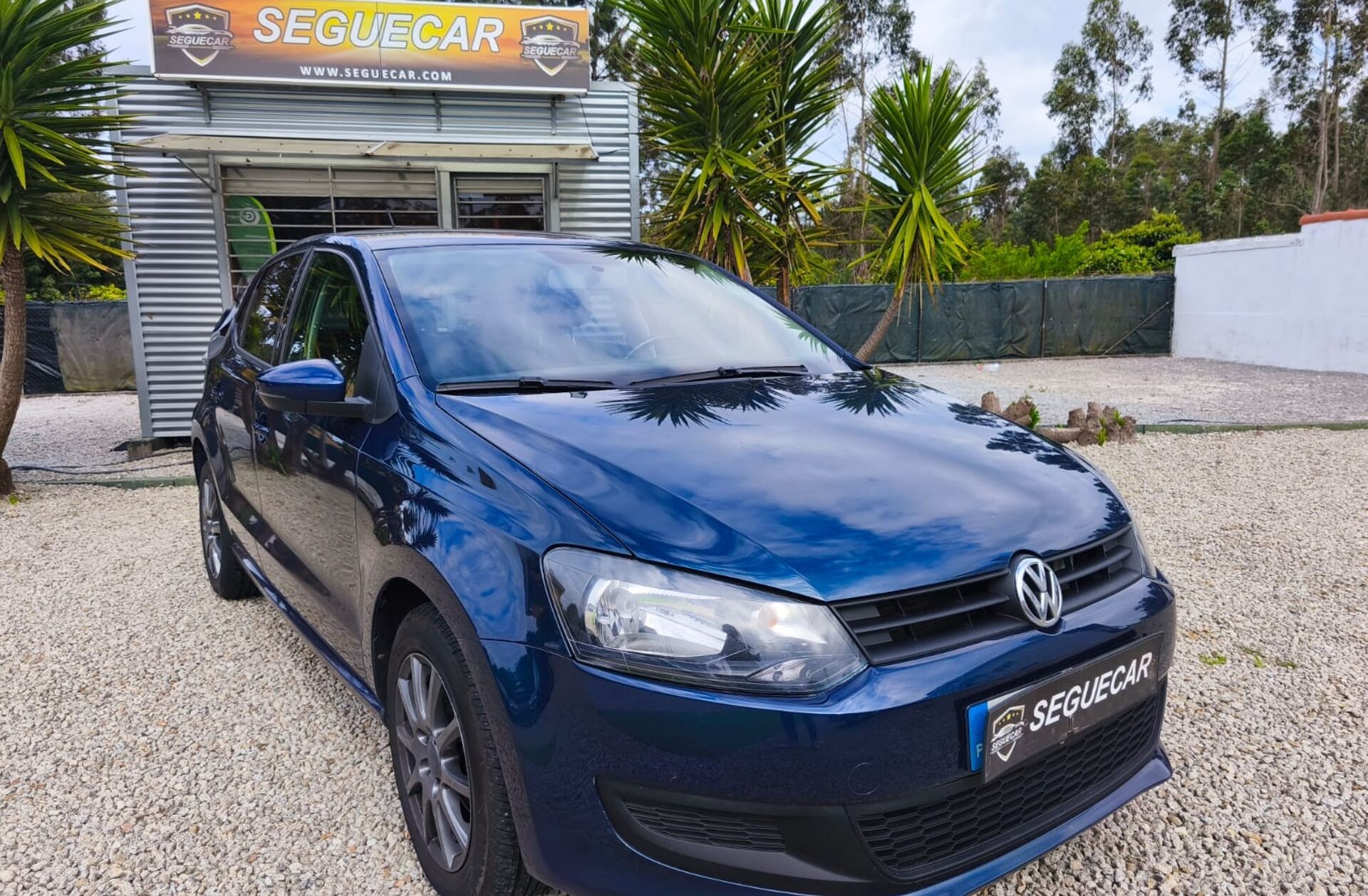 VOLKSWAGEN Polo 1.2 TDI Blue Motion