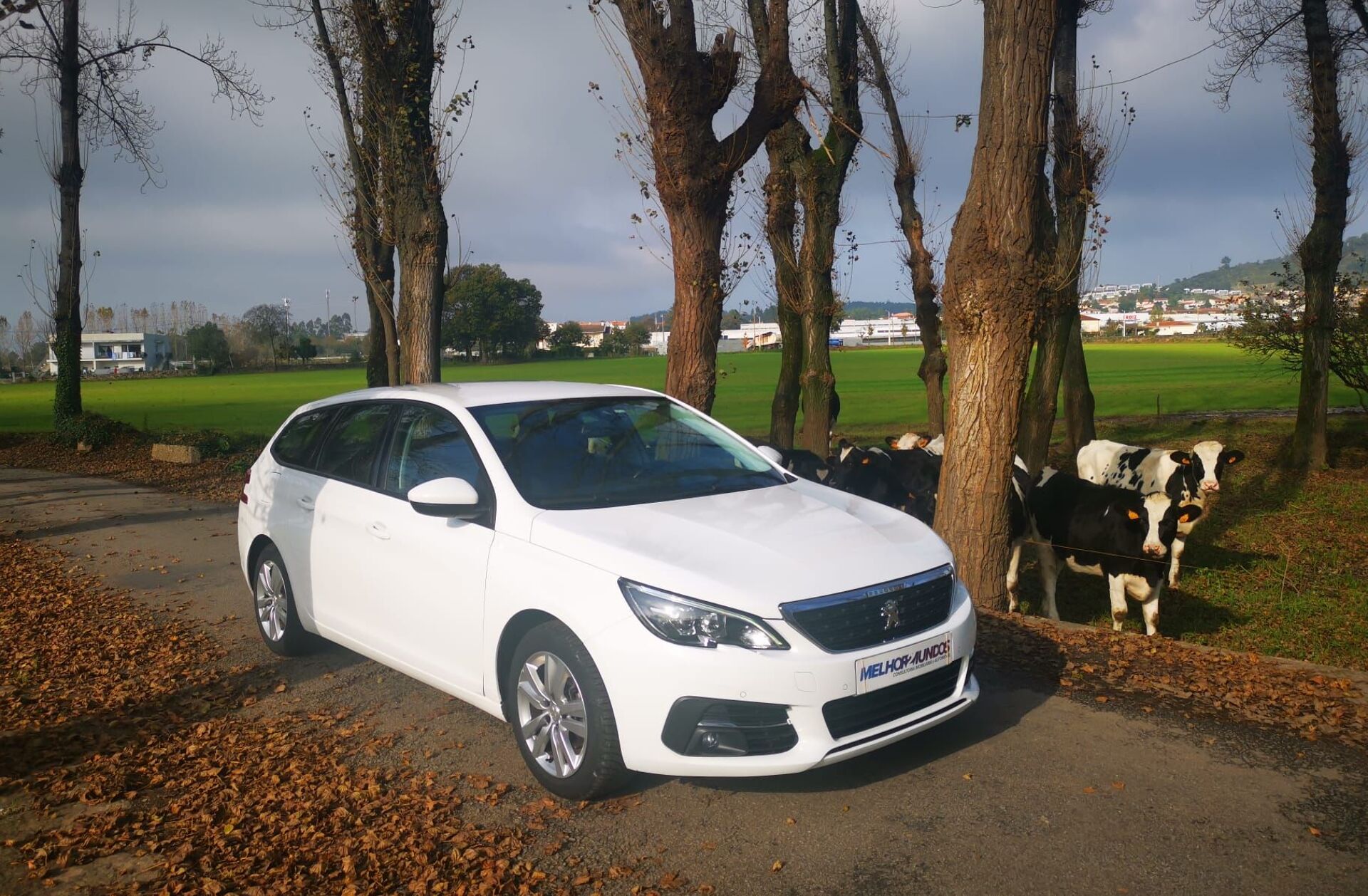 PEUGEOT 308 SW 1.5 BlueHDi Active Pack