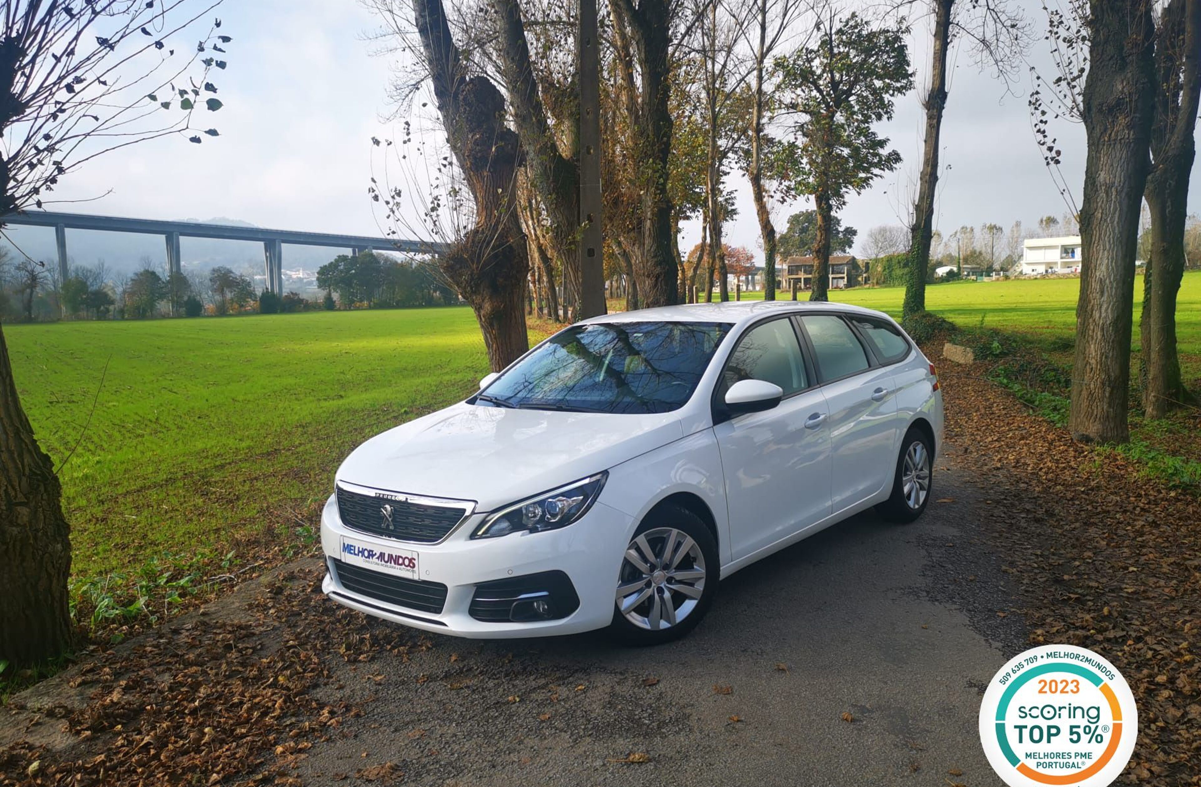 PEUGEOT 308 1.5 BlueHDi Active Pack