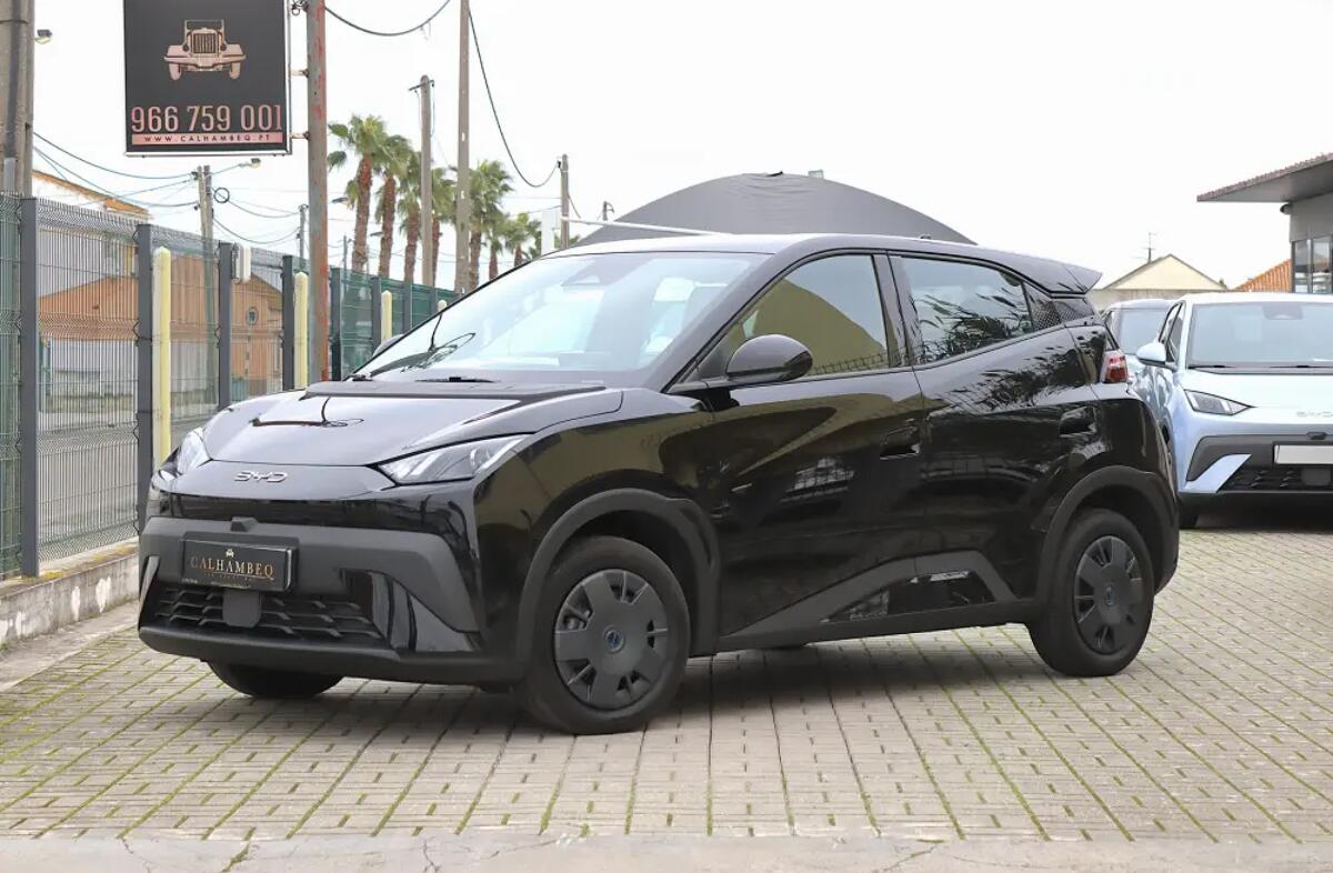 BYD Dolphin 60.4 kWh Design