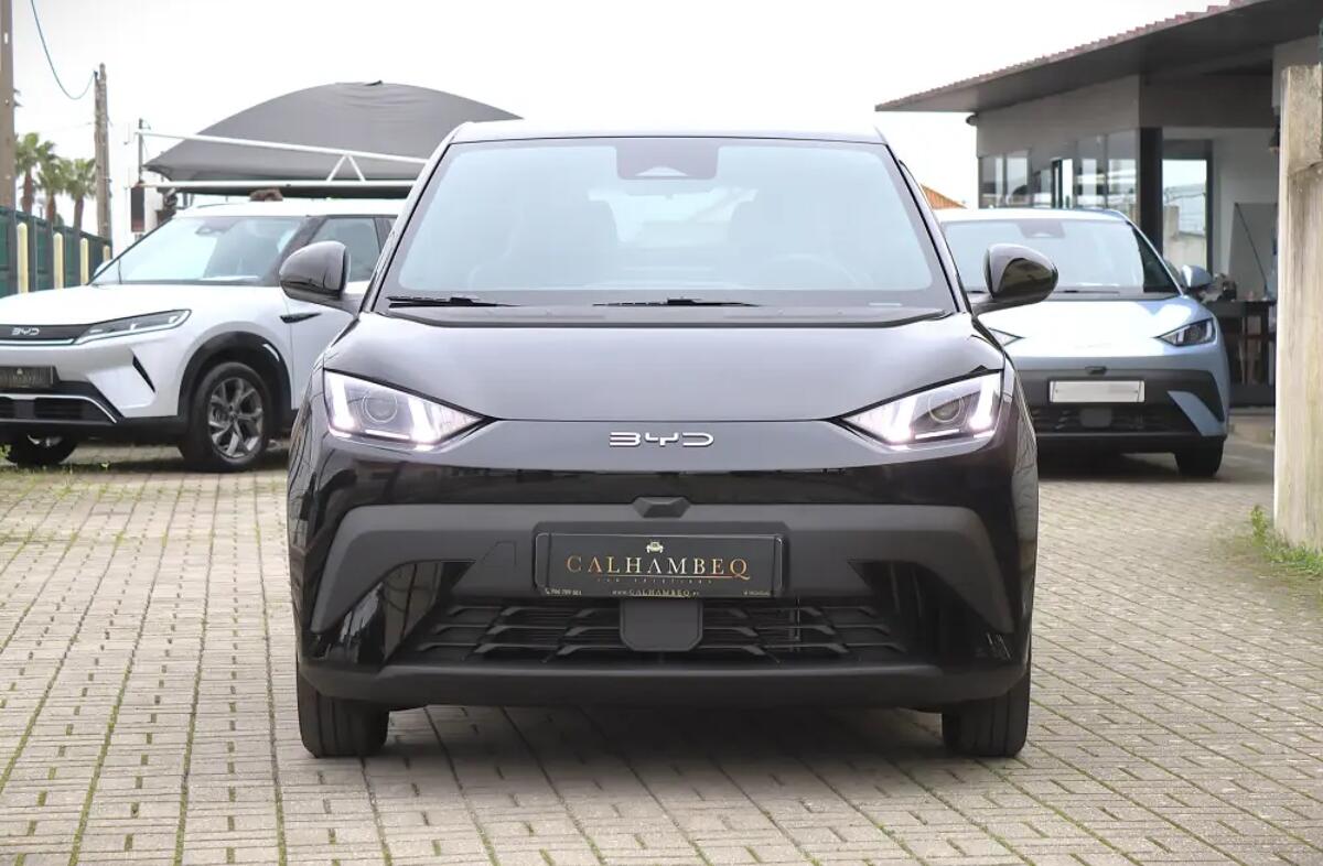 BYD Dolphin 60.4 kWh Design