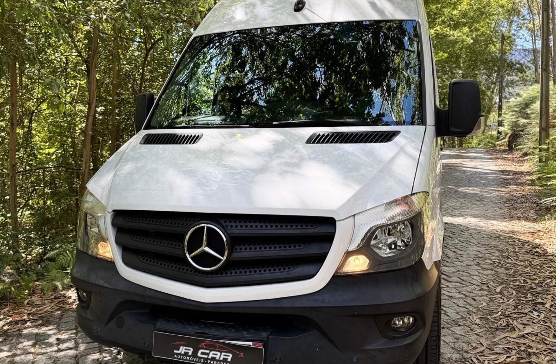 MERCEDES Sprinter 319 CDI/43L TA