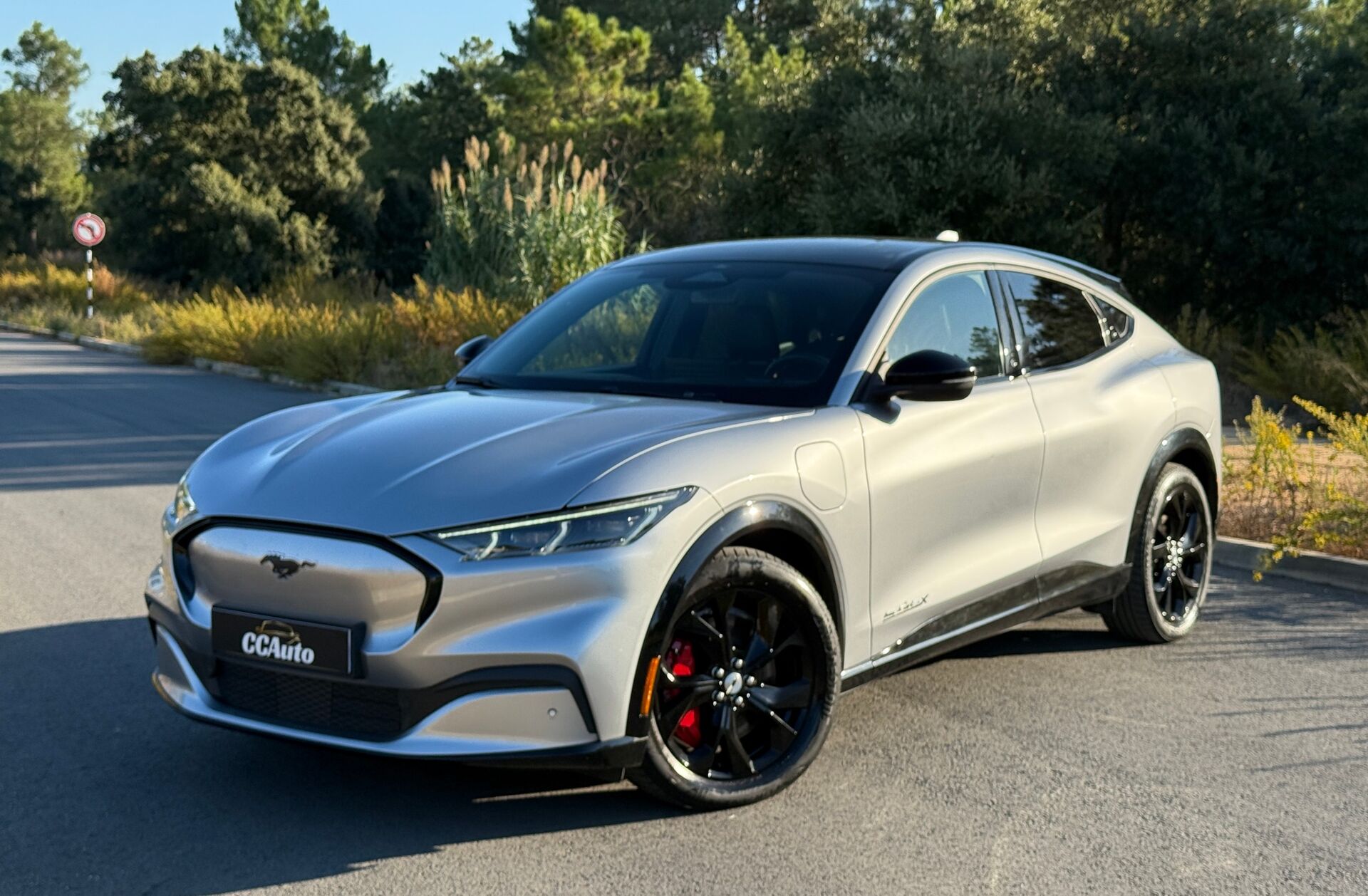 FORD Mustang Mach-E GT AWD