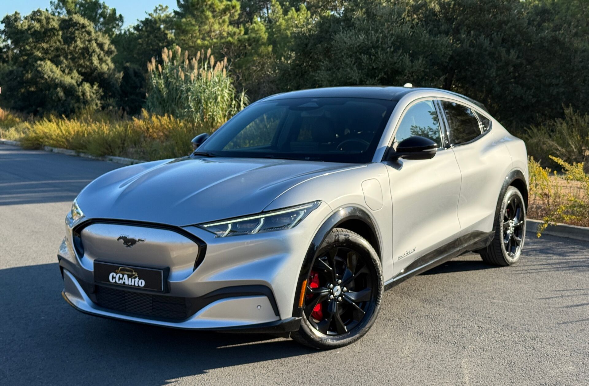 FORD Mustang Mach-E GT AWD