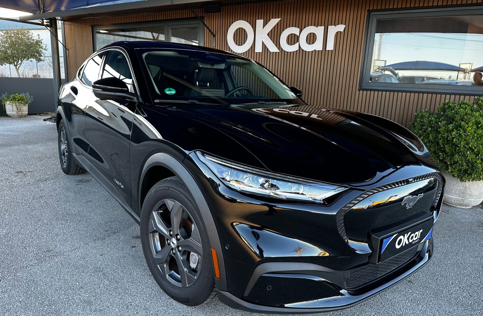 FORD Mustang Mach-E Standard