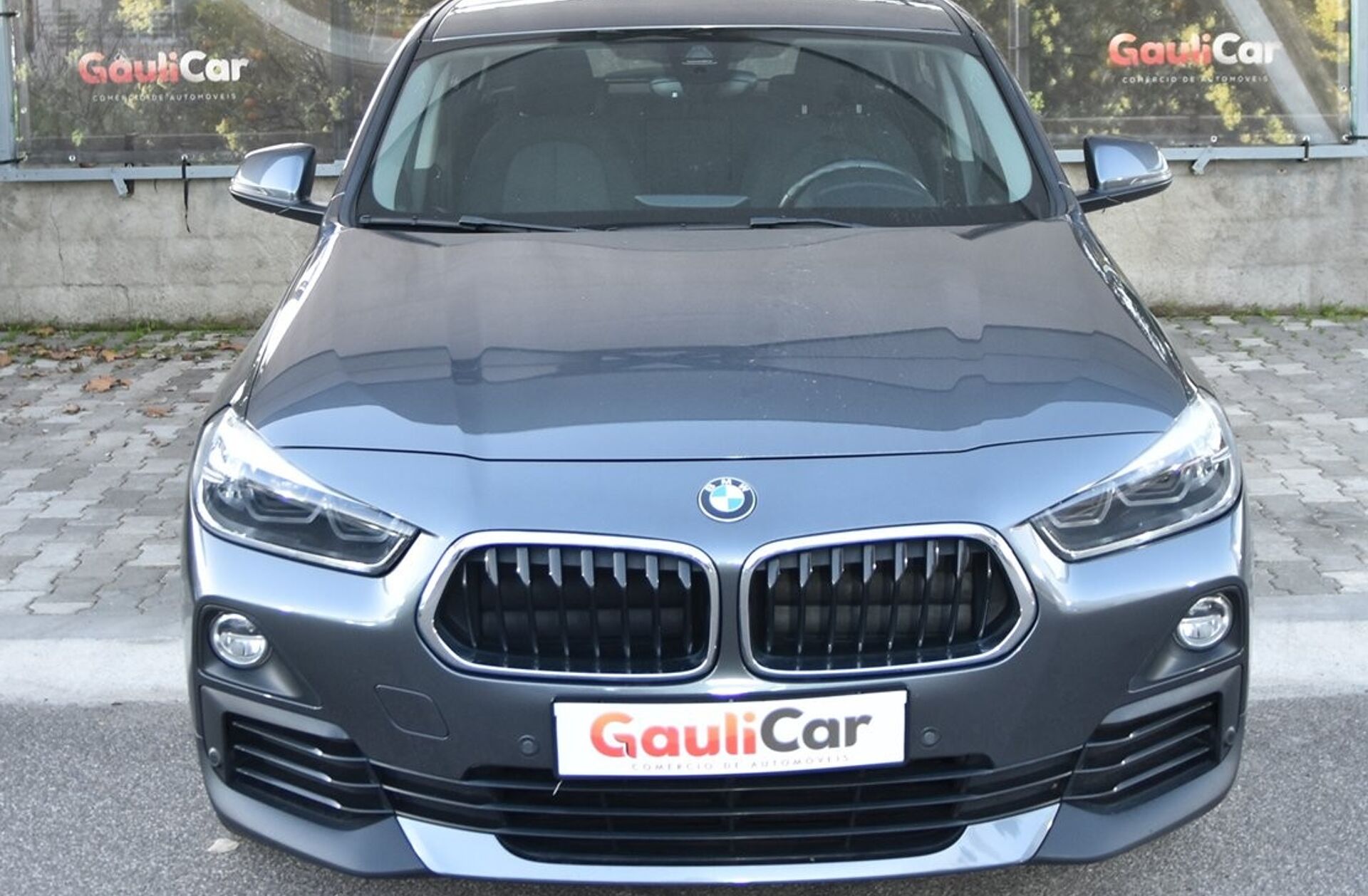 BMW X2 16 d sDrive Advantage