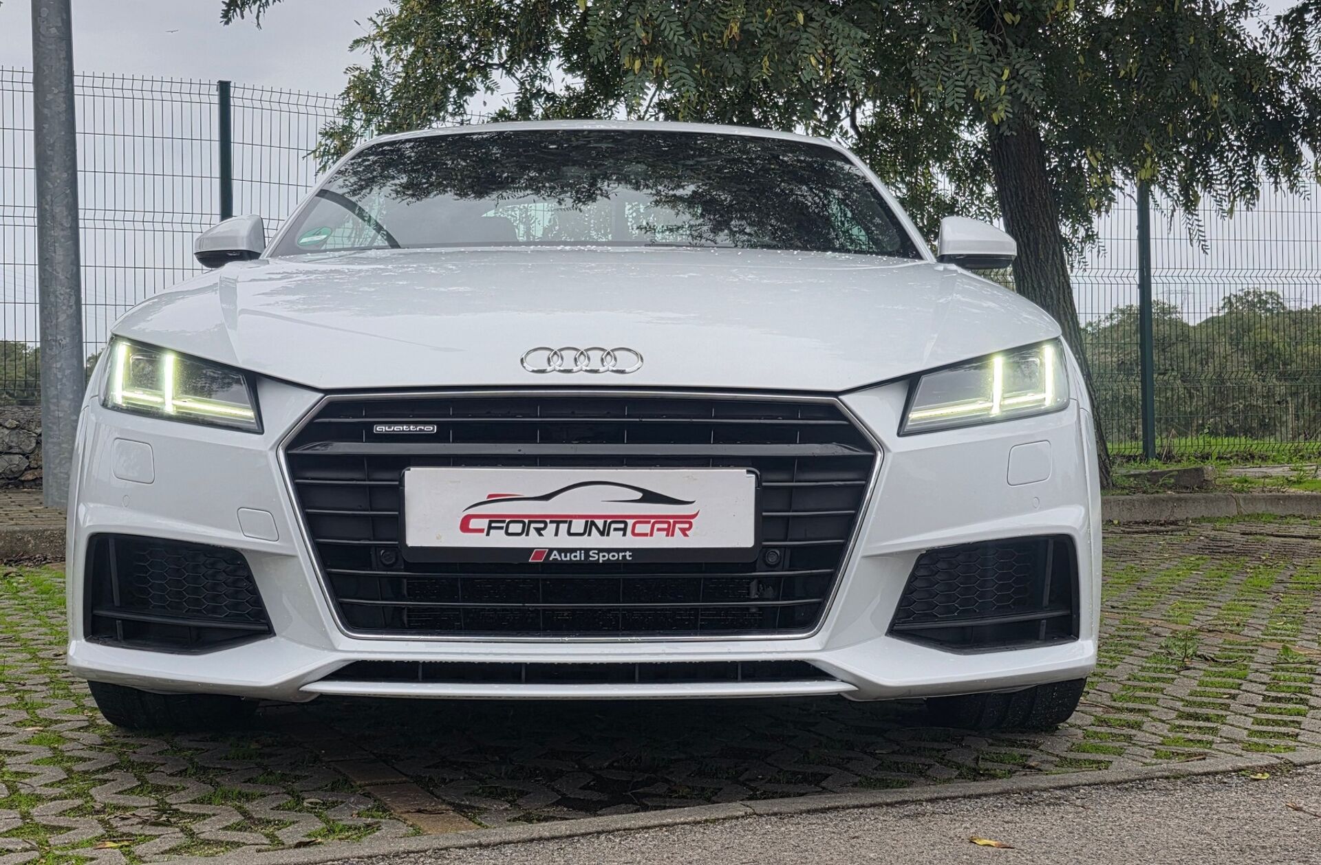 AUDI TT 2.0 TFSi quattro S-line S tronic