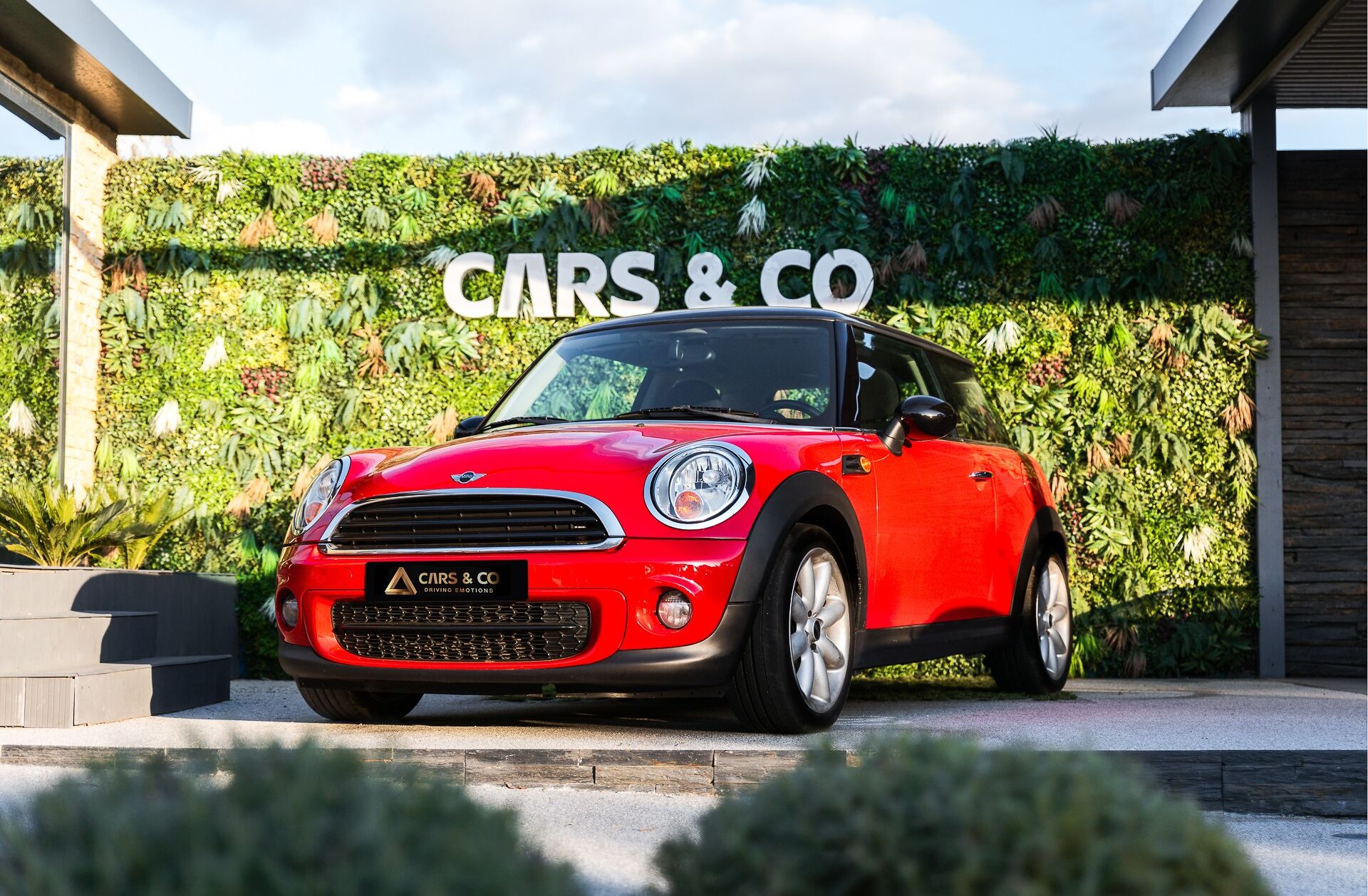 MINI Mini D