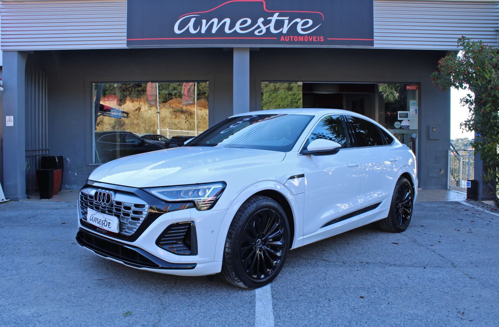 AUDI Q8 SB 50 quattro S line
