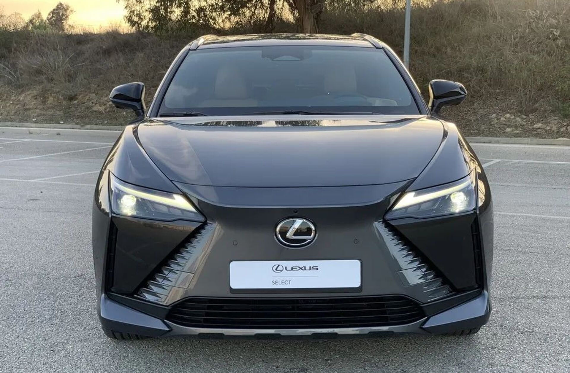 LEXUS RZ 450e Executive Plus