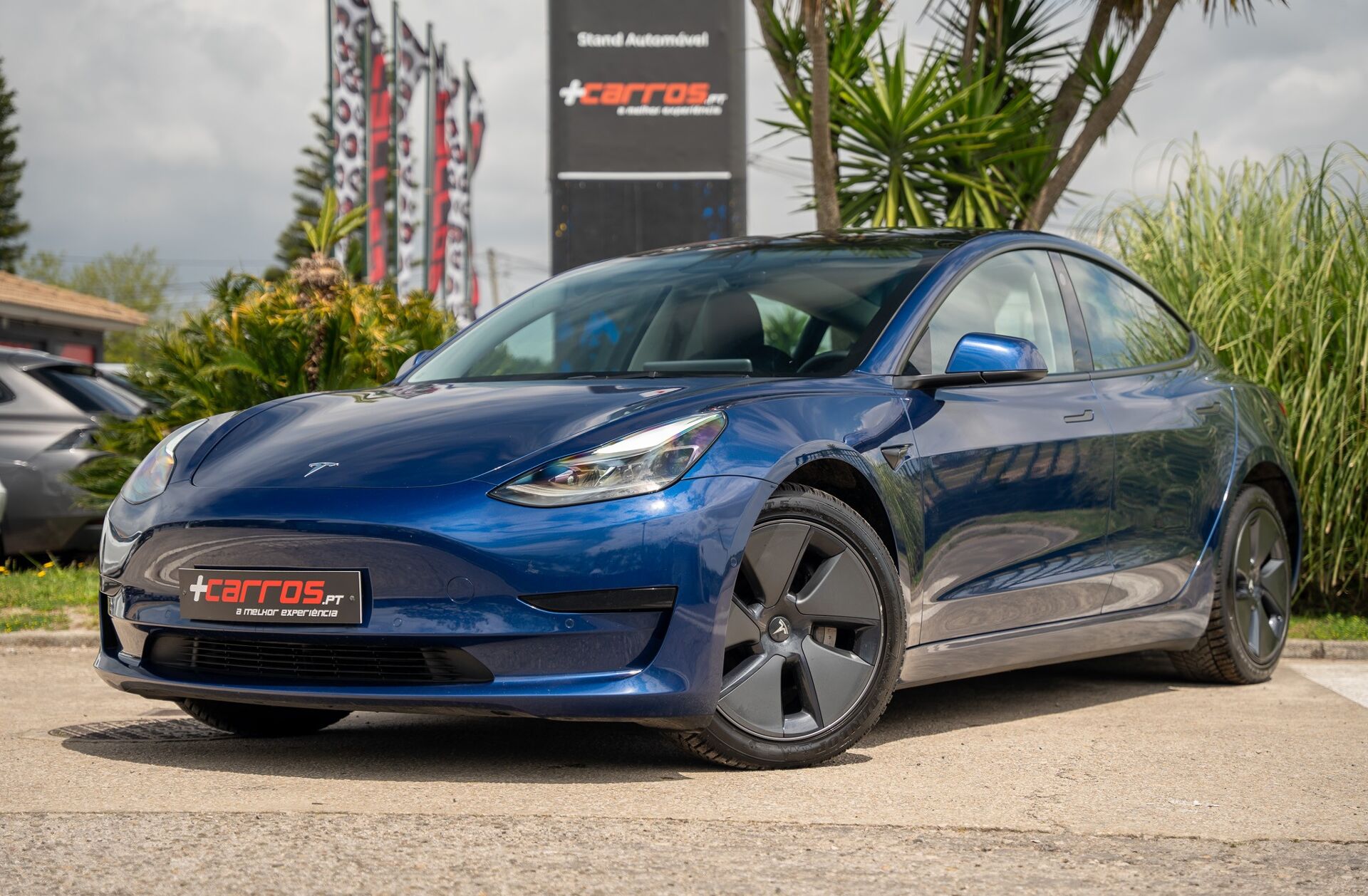TESLA Model 3 Standard Range Plus RWD