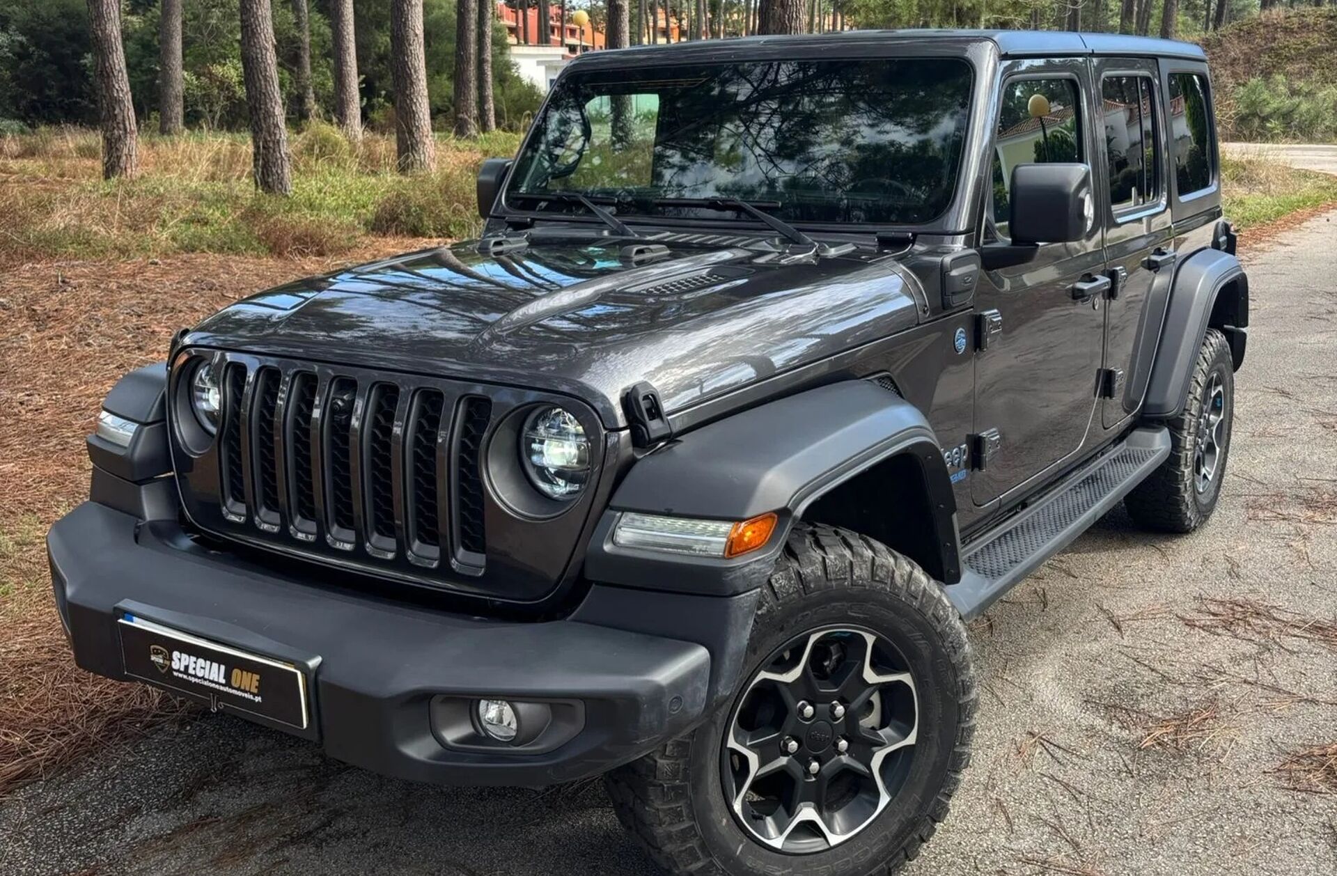 JEEP Wrangler 2.0 TG 4xe Rubicon