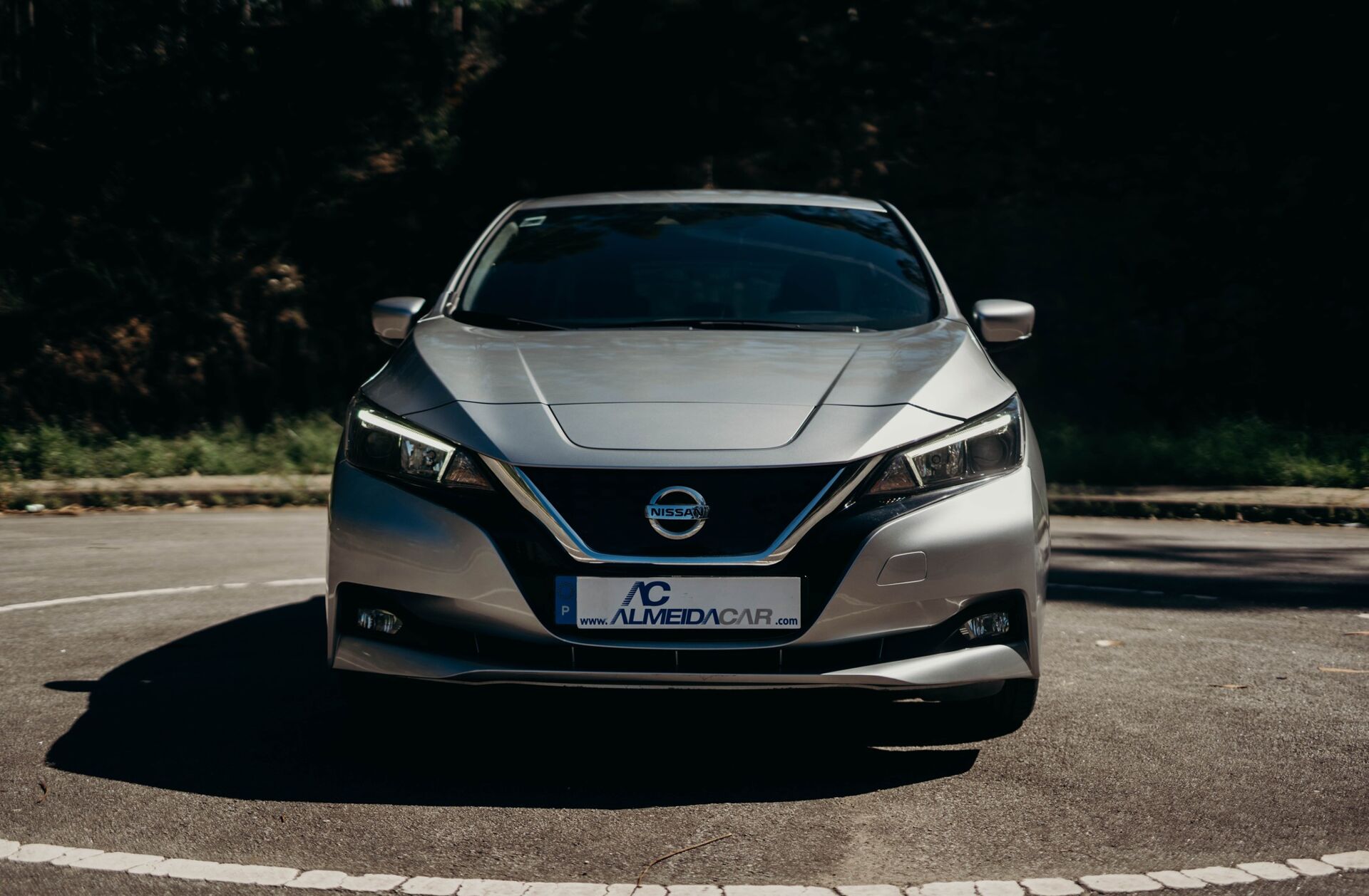 NISSAN Leaf Tekna