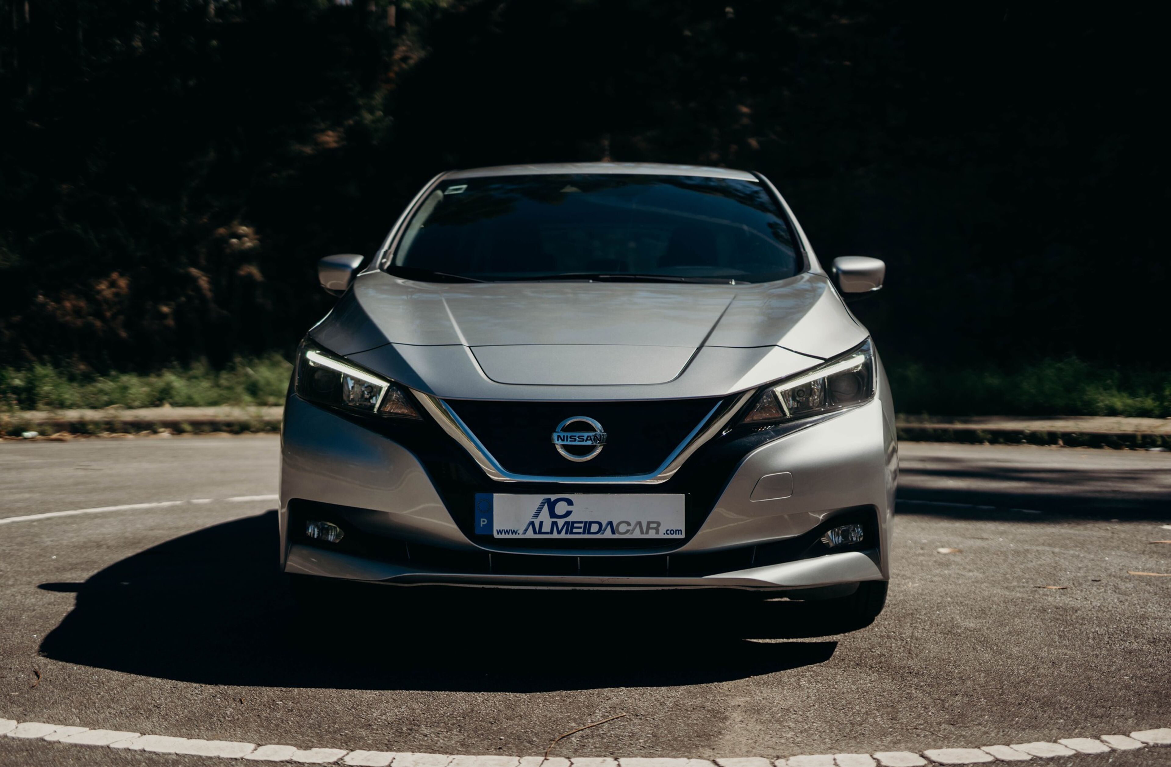 NISSAN Leaf Tekna