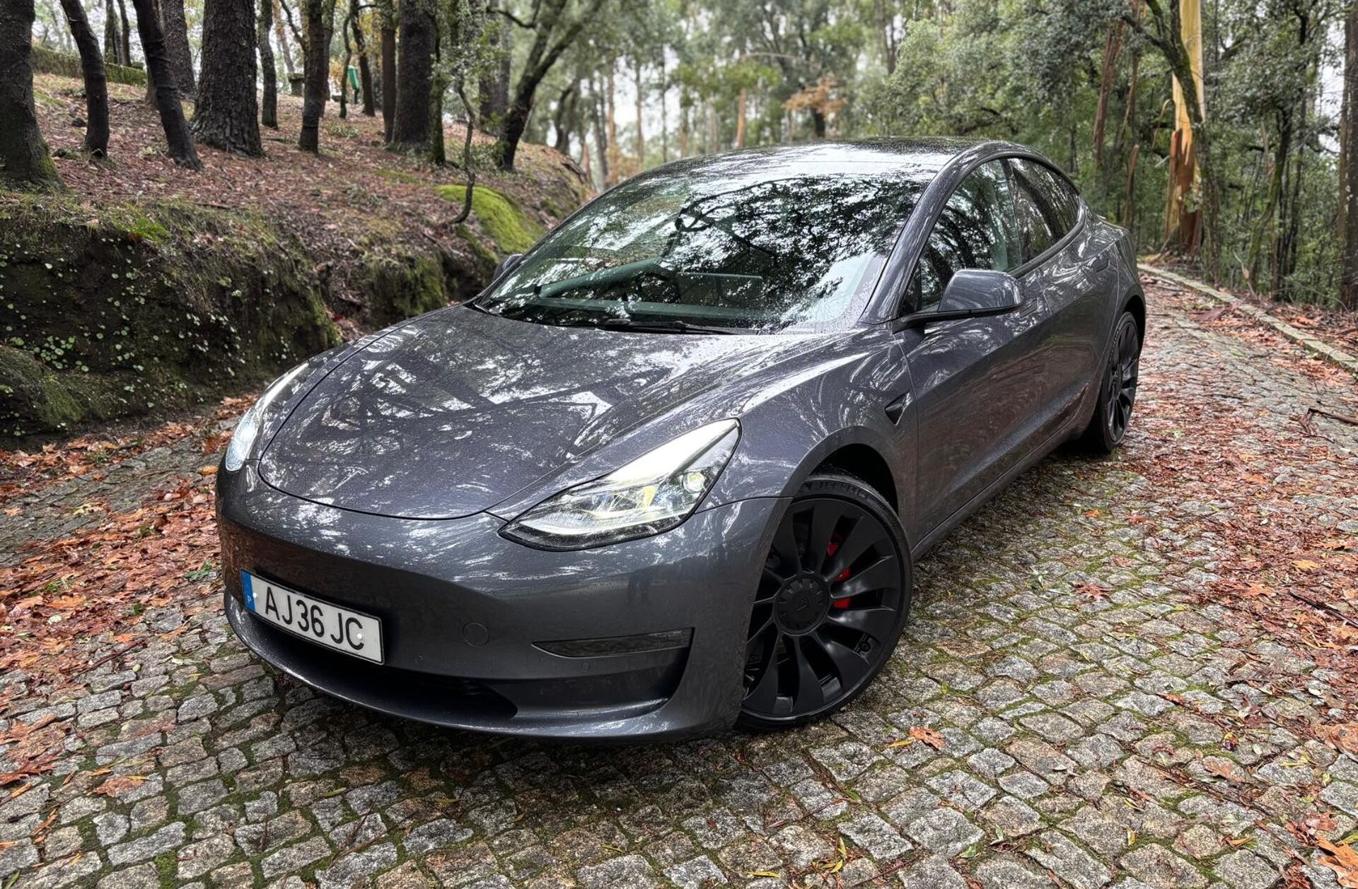 TESLA Model 3 Performance Dual Motor AWD