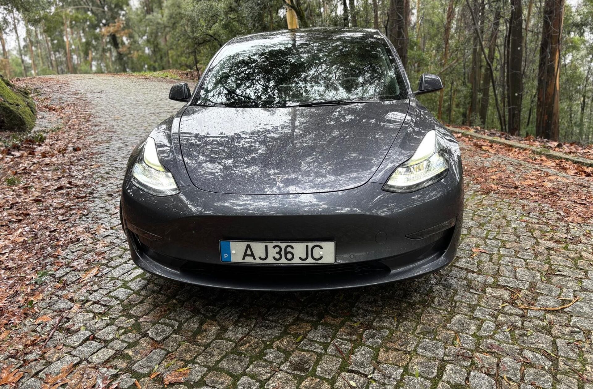 TESLA Model 3 Performance Dual Motor AWD