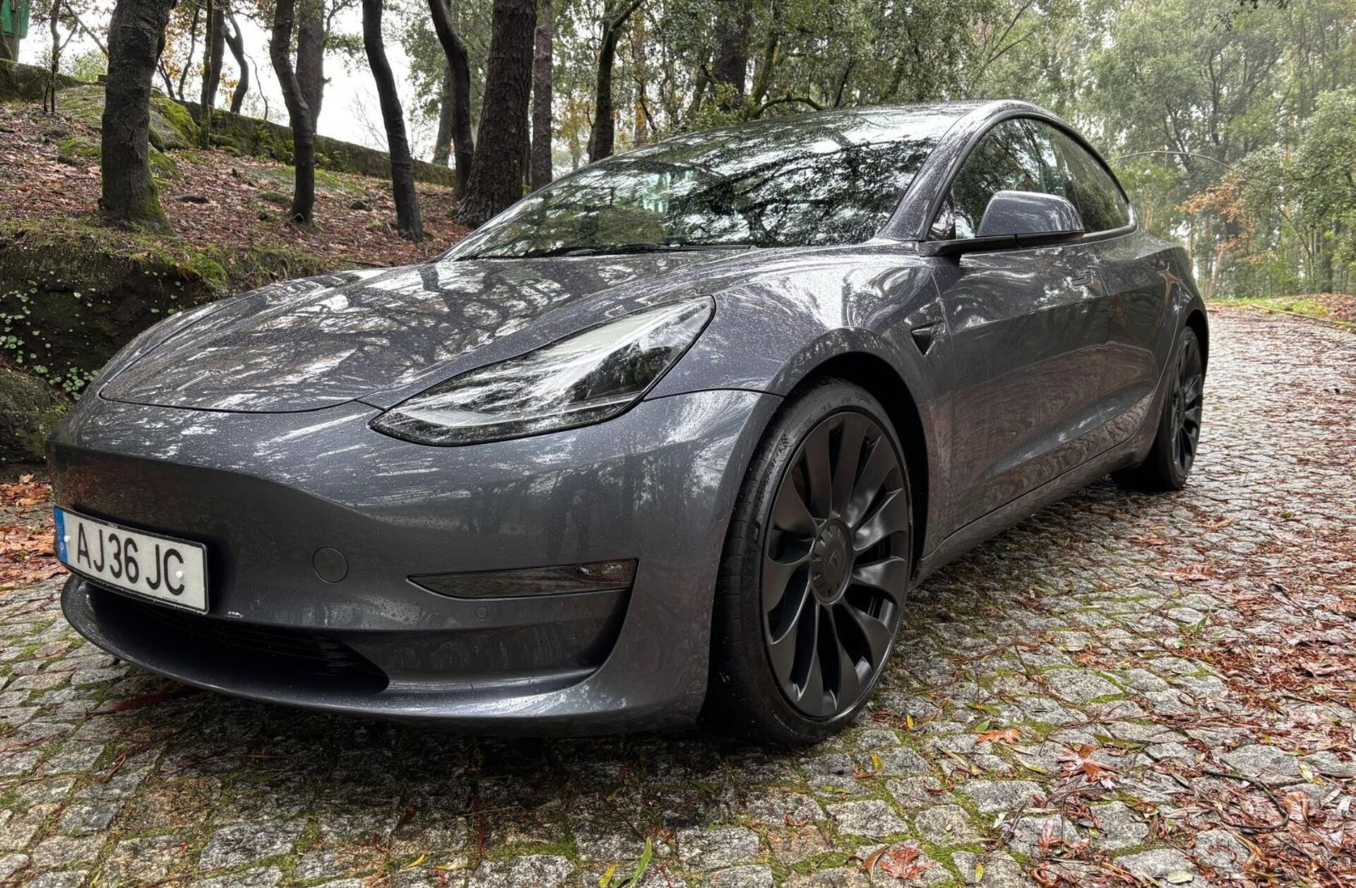 TESLA Model 3 Performance Dual Motor AWD