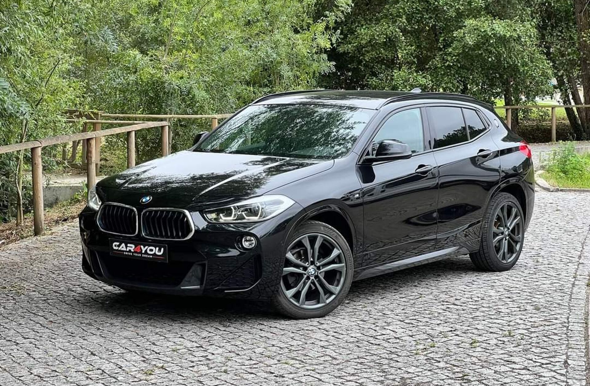 BMW X2 16 d sDrive Auto Pack M