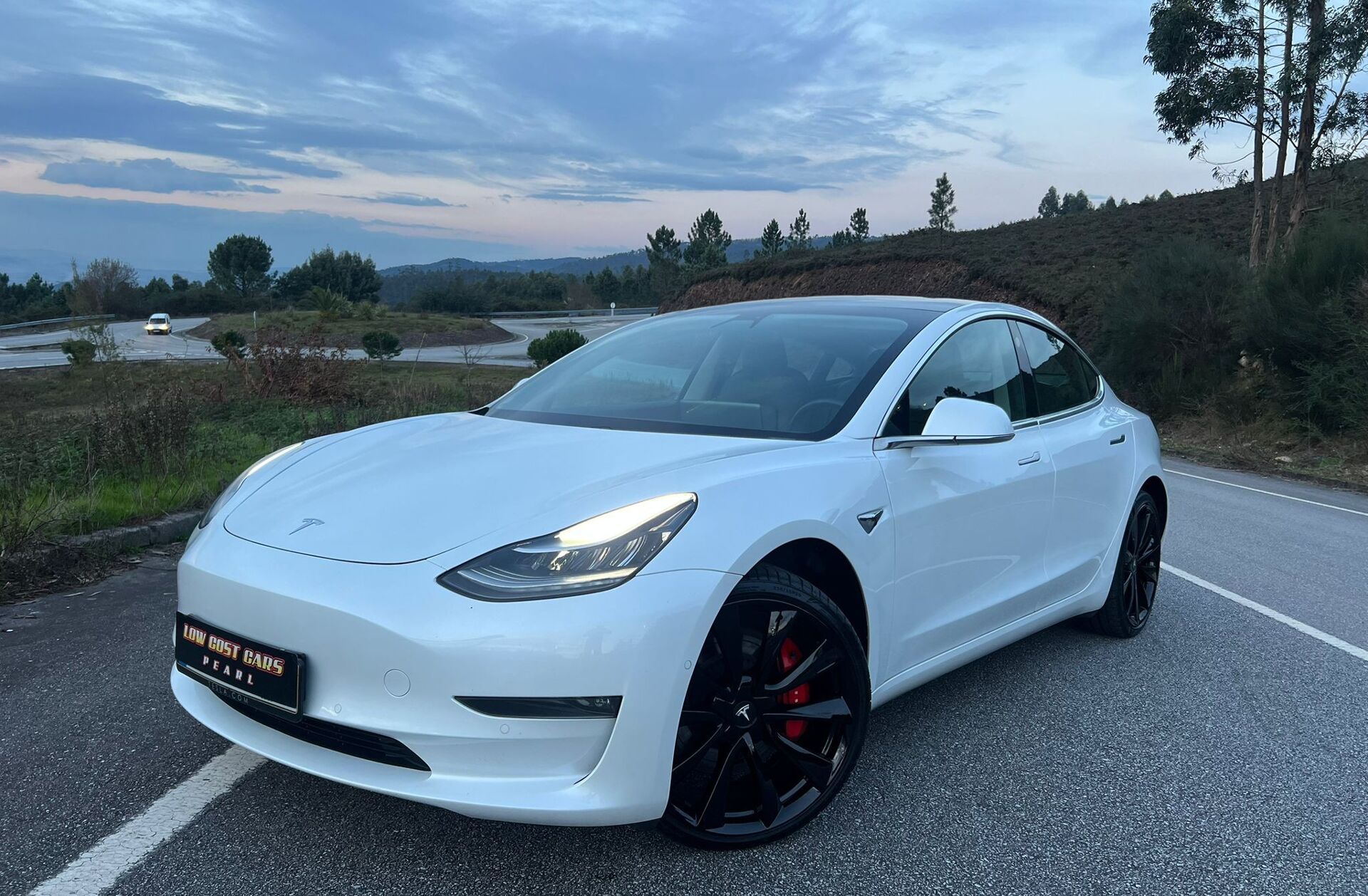 TESLA Model 3 Performance Dual Motor AWD