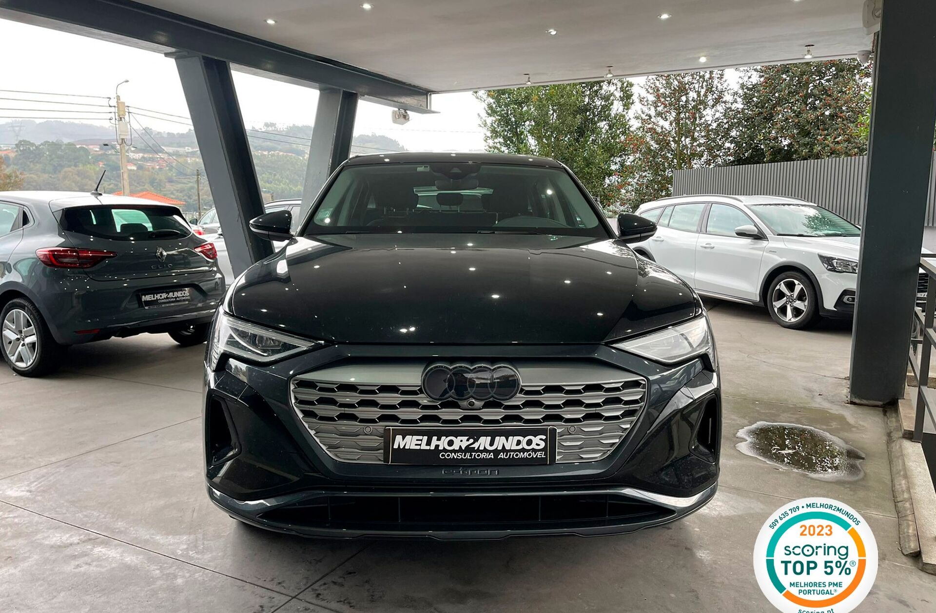 AUDI Q8 55 quattro S line