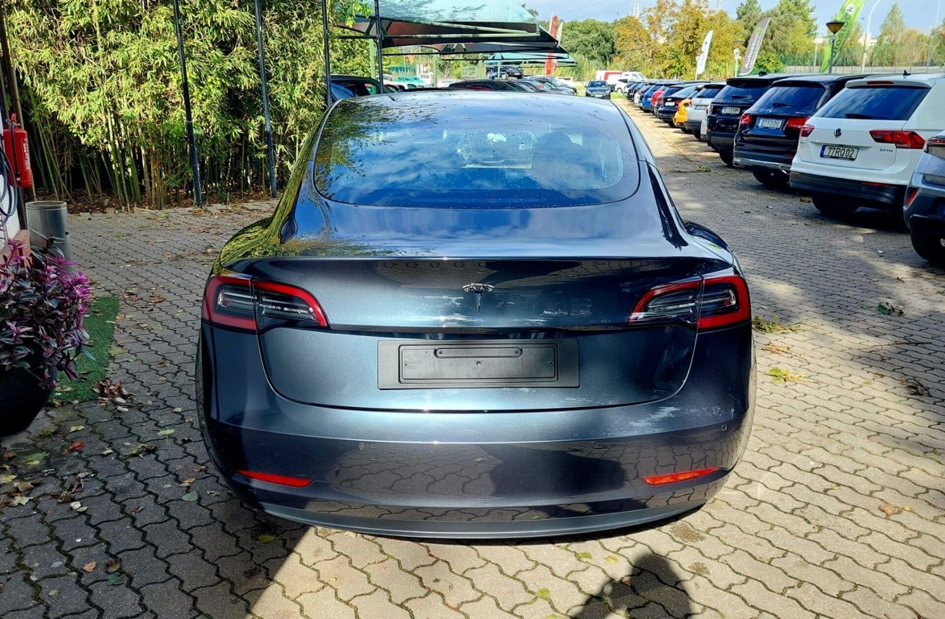 TESLA Model 3 Standard Range Plus RWD