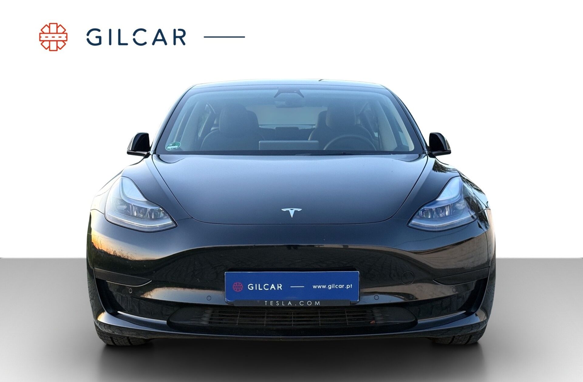 TESLA Model 3 Standard Range Plus RWD