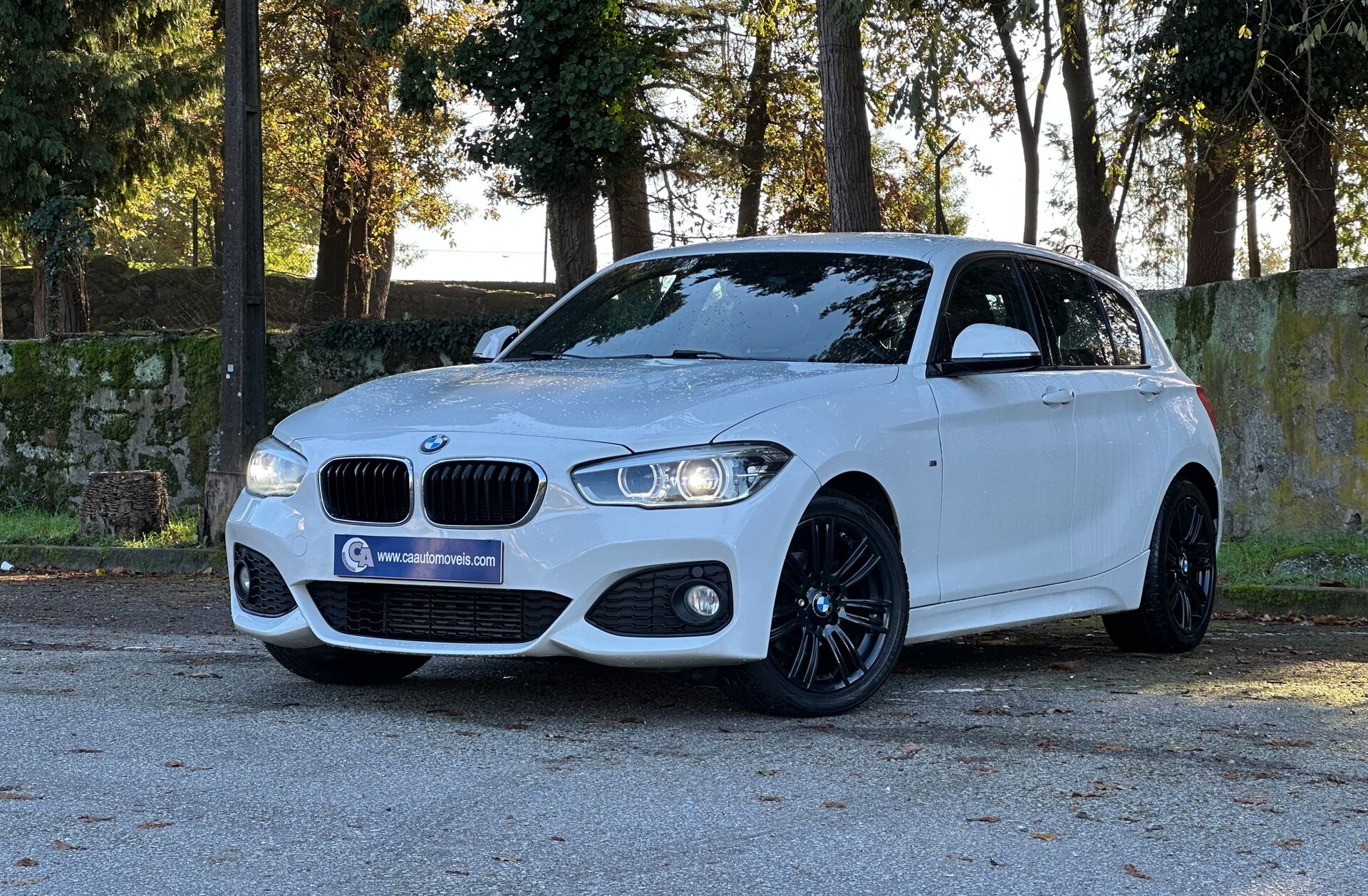 BMW Serie-1 116 d Pack M