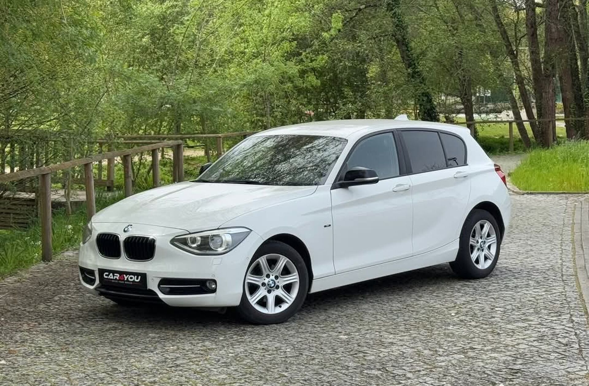 BMW Serie-1 116 d EDynamics Line Sport