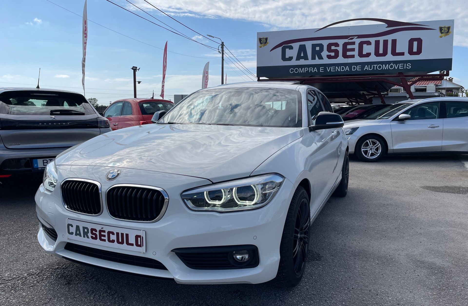BMW Serie-1 116 d Advantage