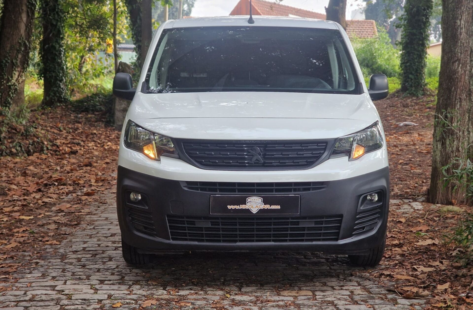 PEUGEOT Partner 1.5 BlueHDi Pro Longa