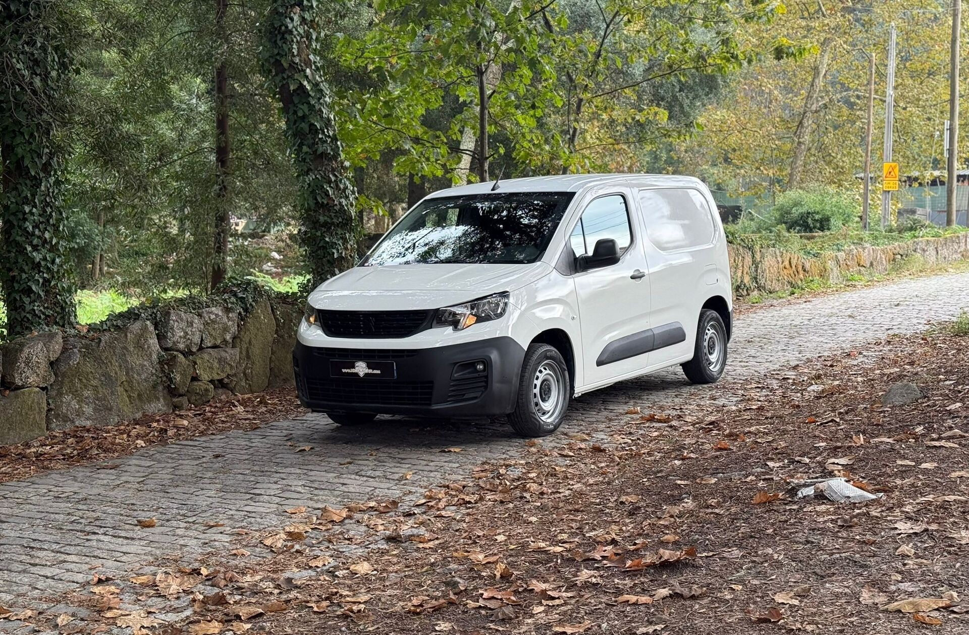 PEUGEOT Partner 1.5 BlueHDi Pro Longa