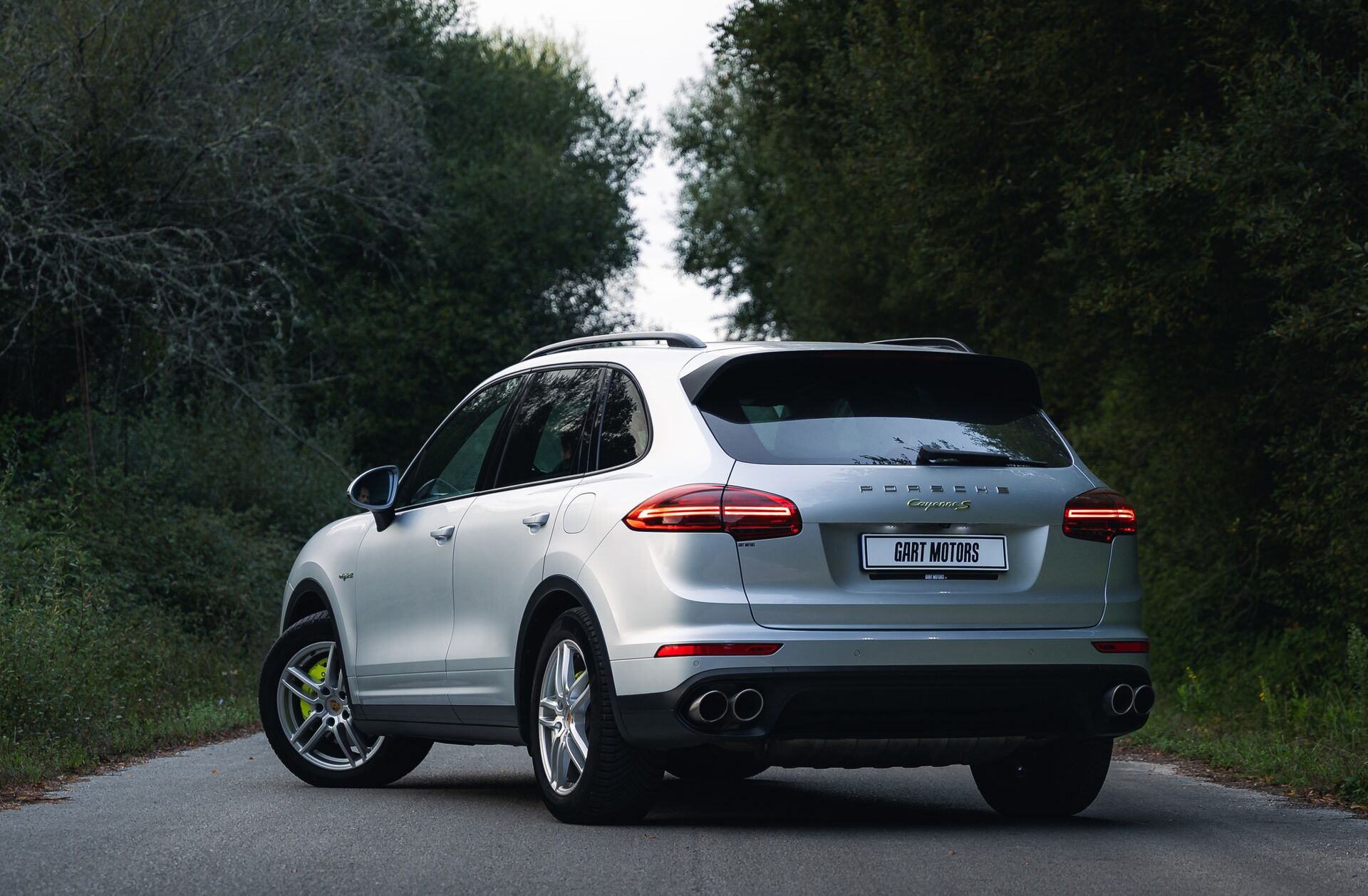 PORSCHE Cayenne S E-Hybrid