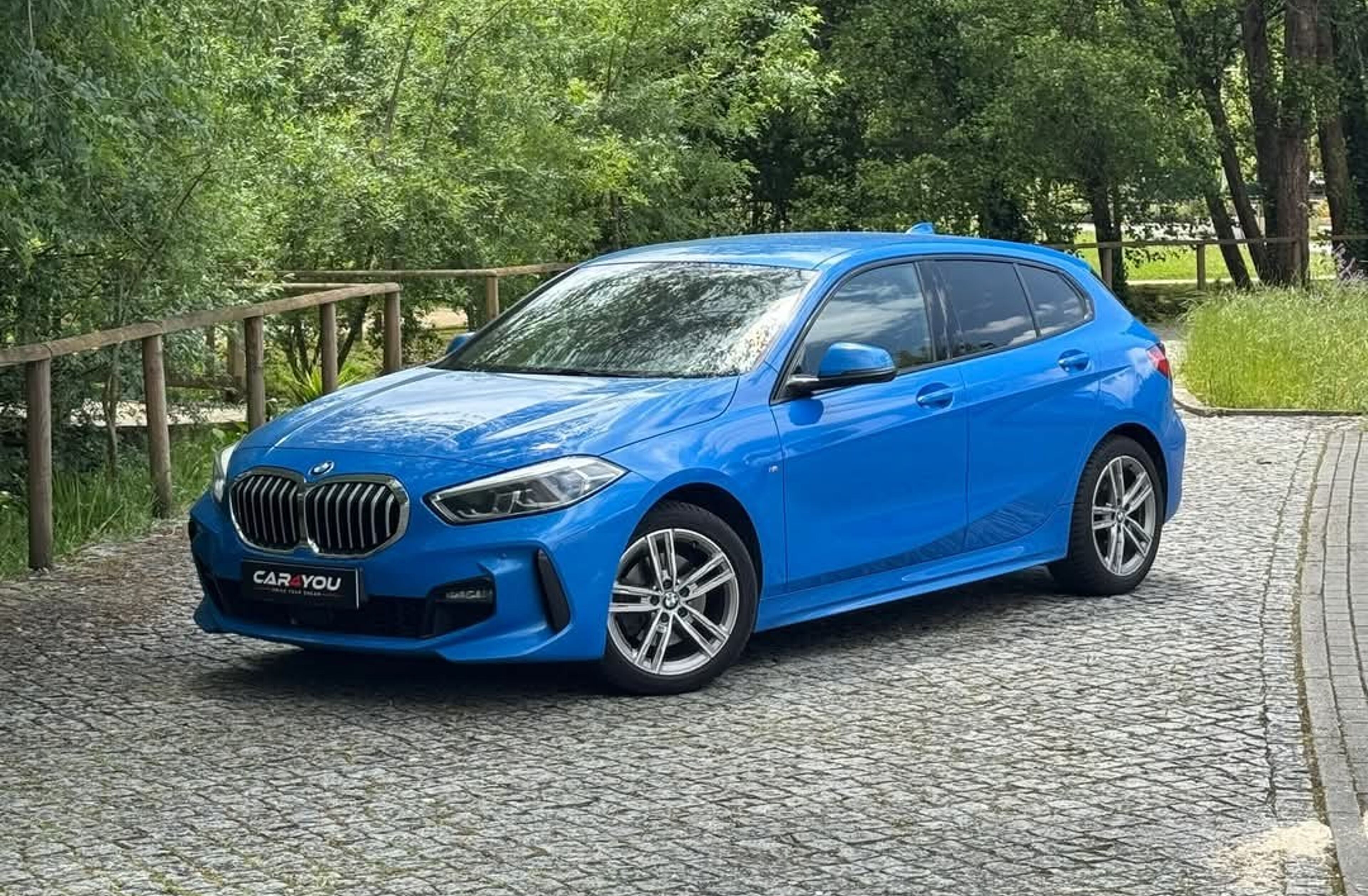 BMW Serie-1 116 d Corporate Edition M