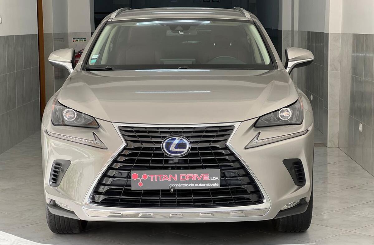 LEXUS NX 300h Business
