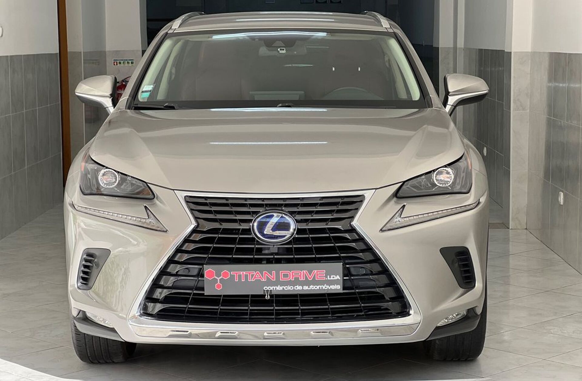 LEXUS NX 300h Business