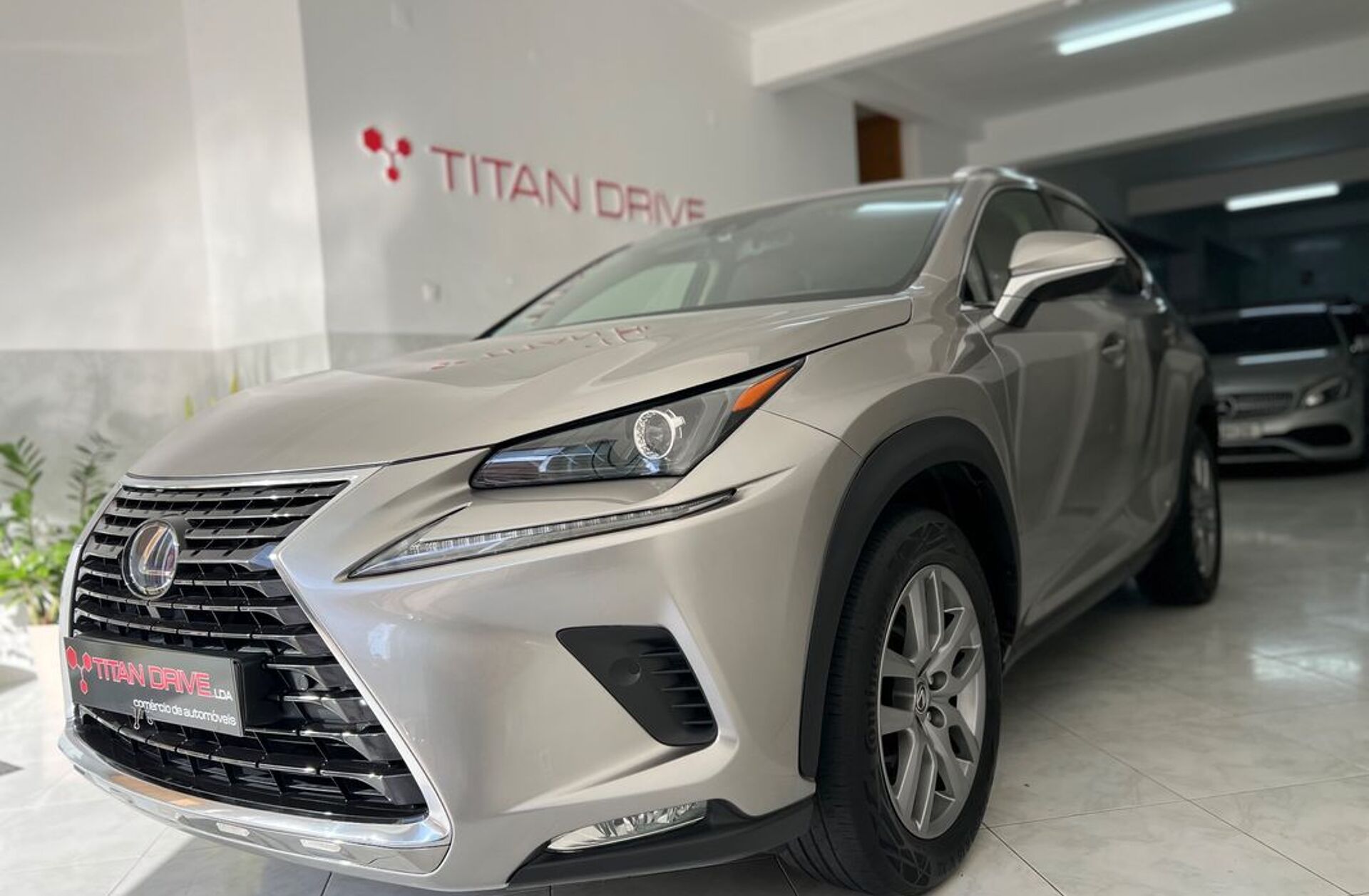 LEXUS NX 300h Business