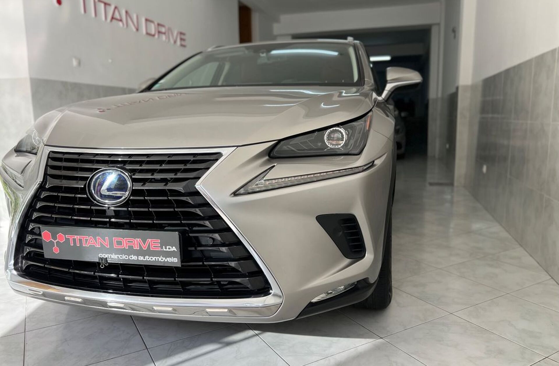 LEXUS NX 300h Business