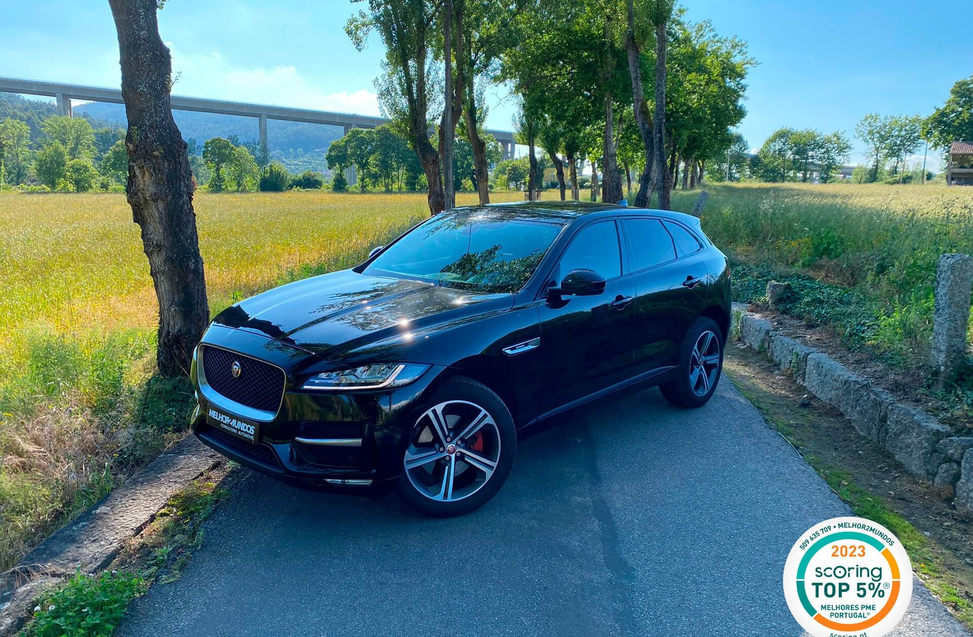 JAGUAR F-Pace 3.0 TDV6 R-Sport AWD Aut.