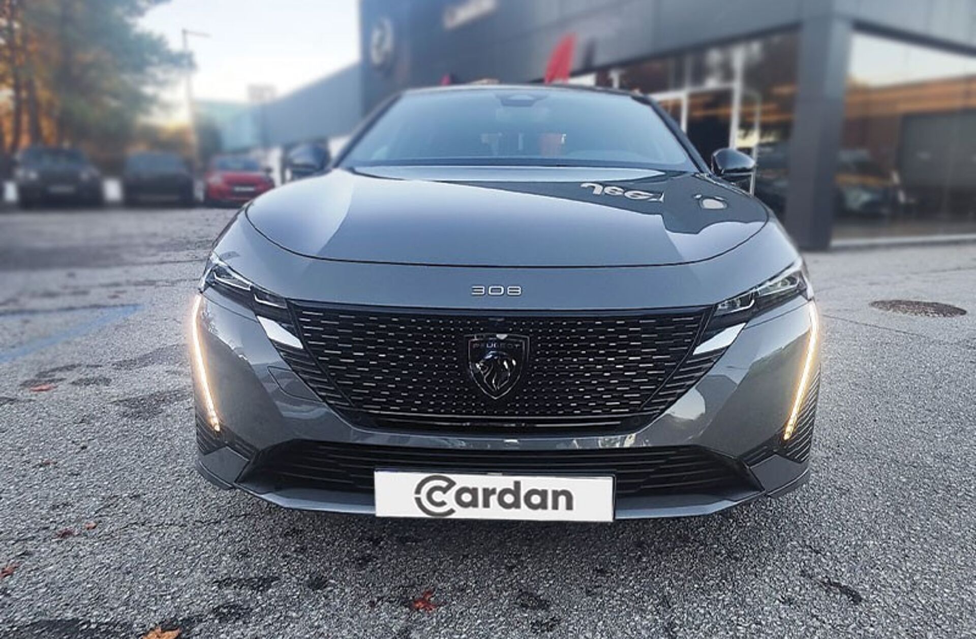 PEUGEOT 308 e- 54 kWh GT