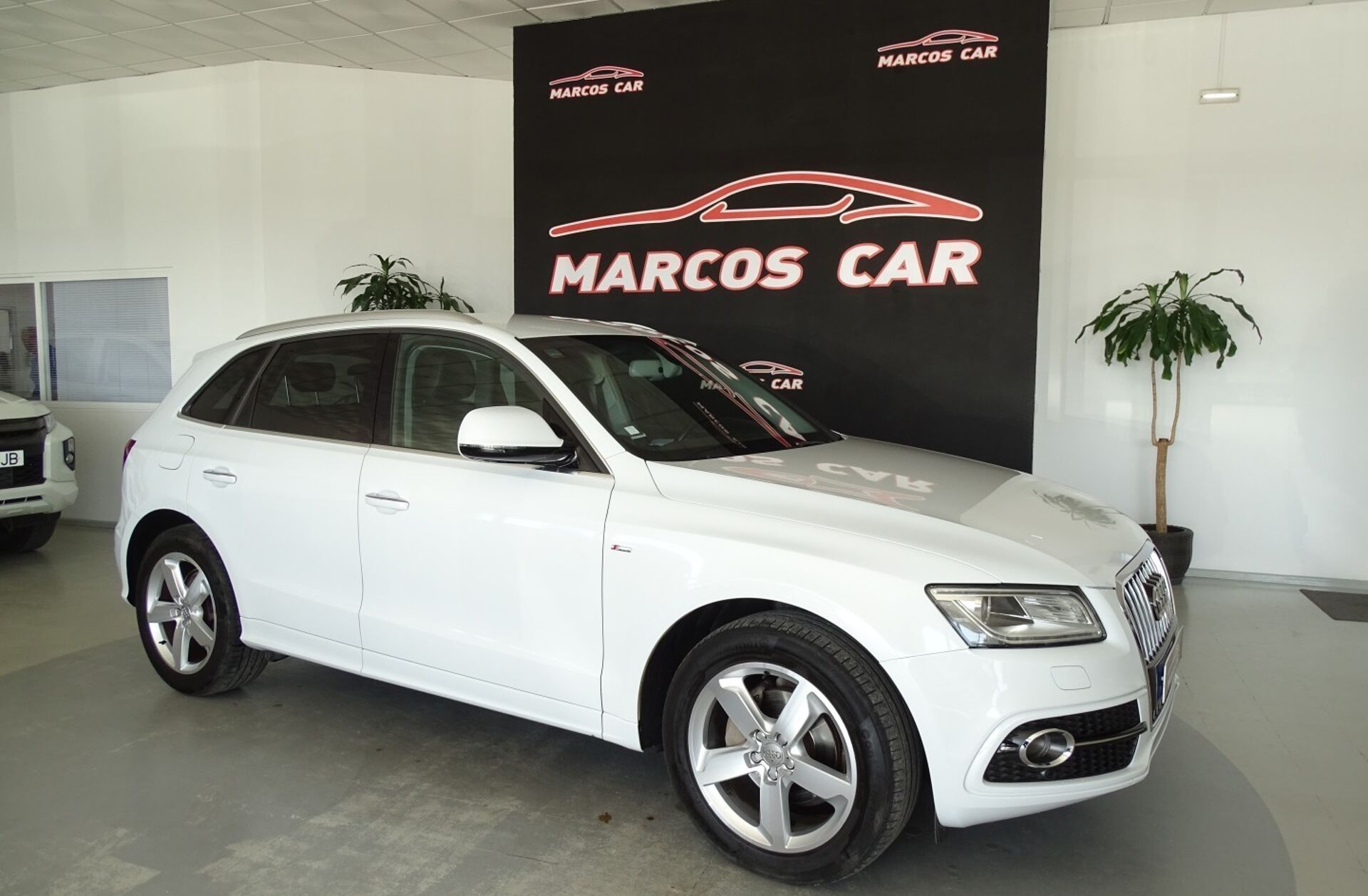 AUDI Q5 2.0 TDi Business Line S-line