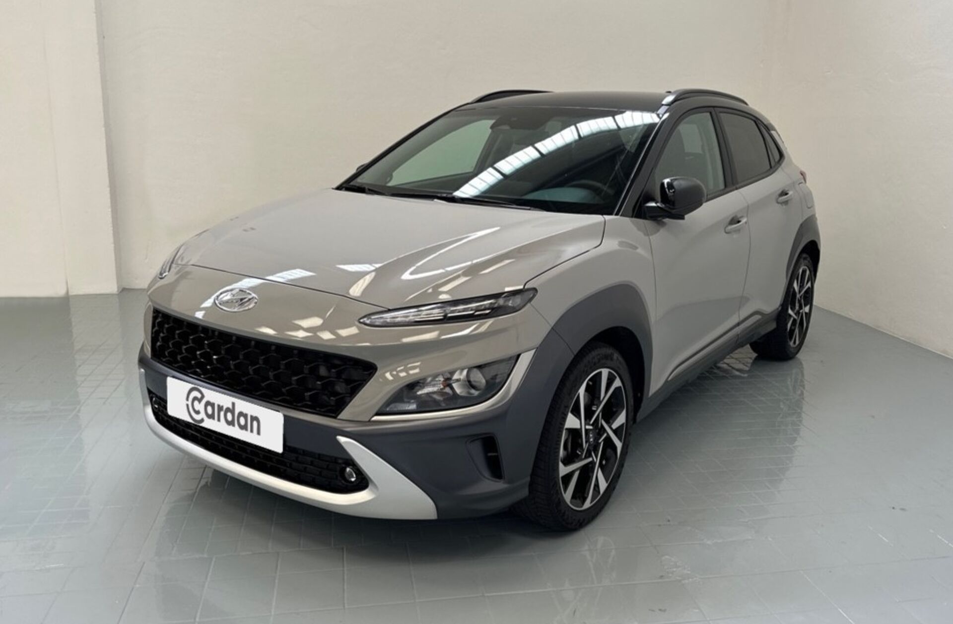 HYUNDAI Kauai 1.0 T-GDi Premium (TT)