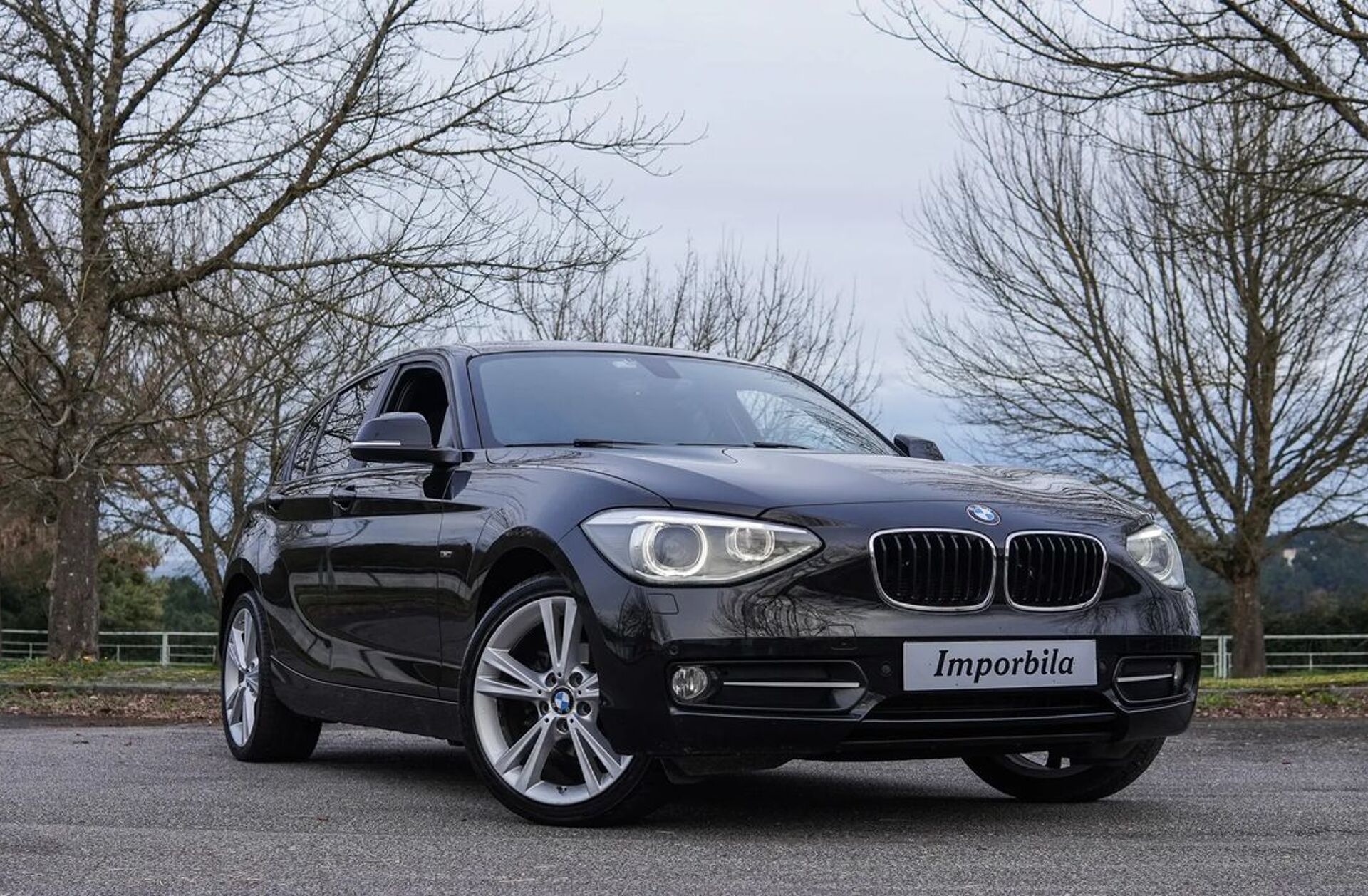 BMW Serie-1 118 d Line Sport