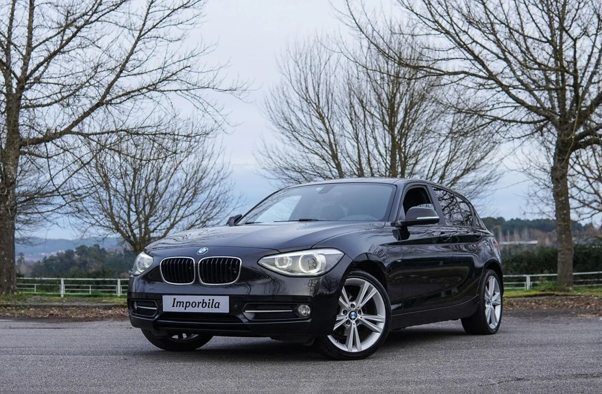 BMW Serie-1 118 d Line Sport