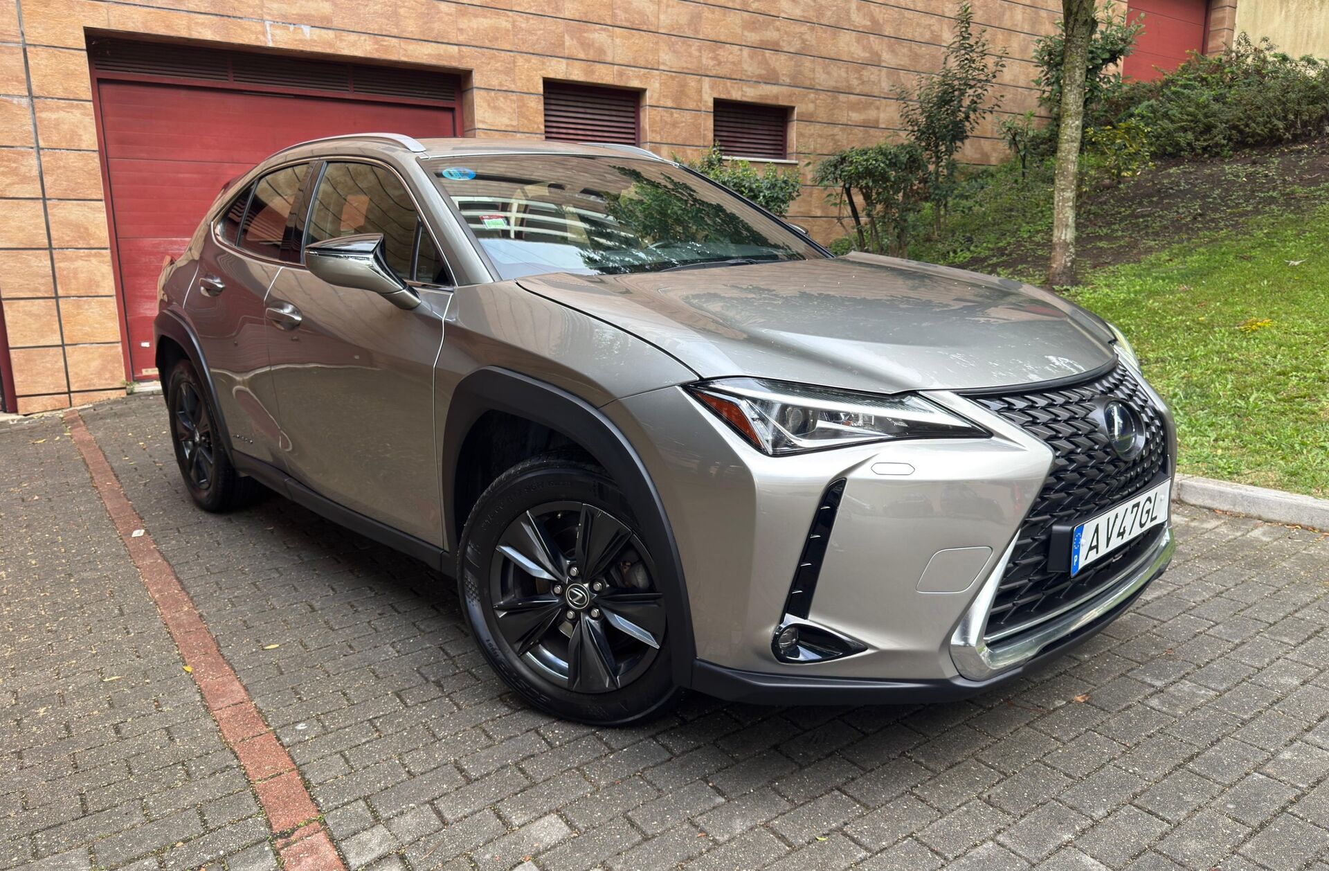 LEXUS UX 250h Business