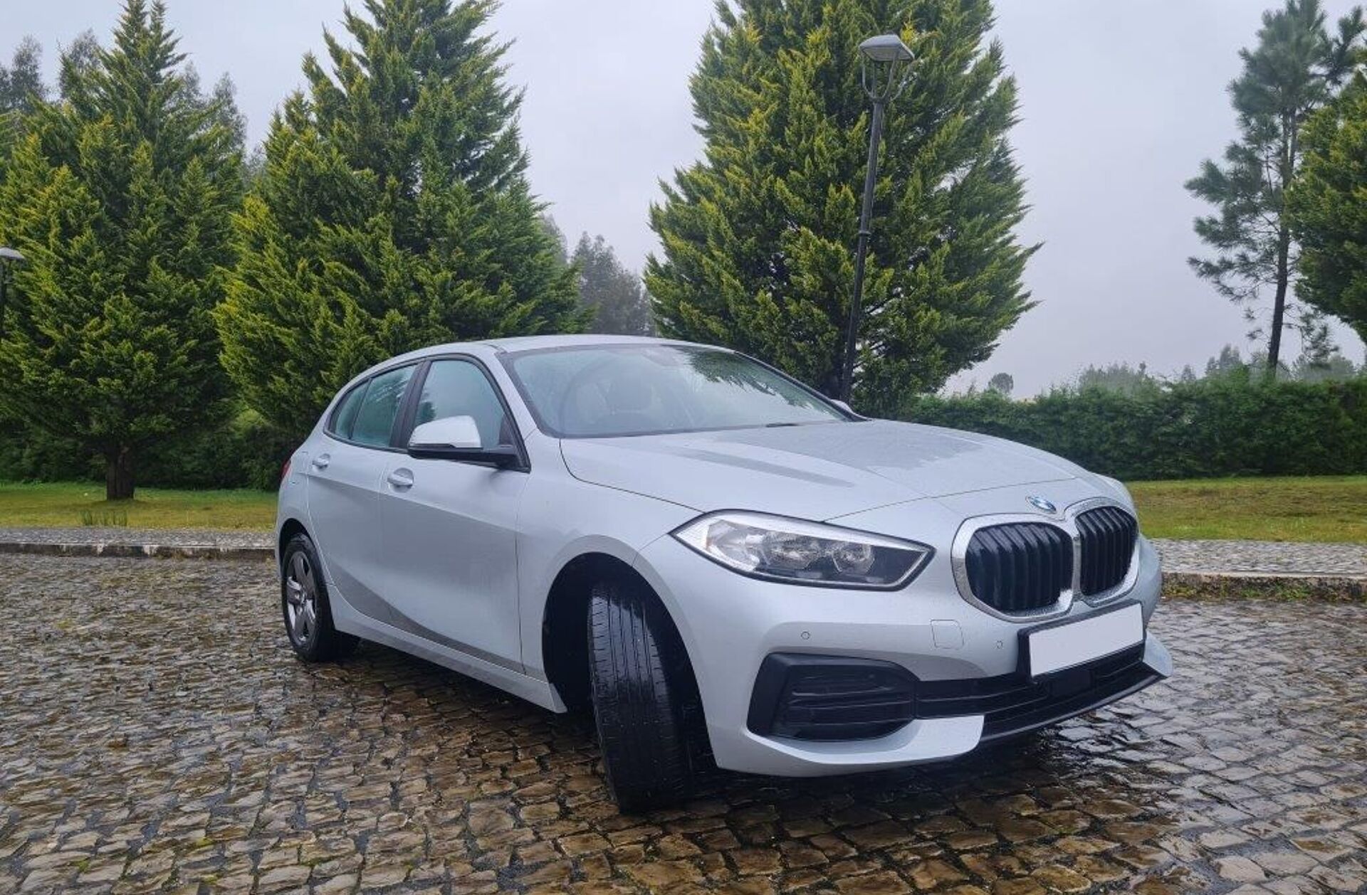 BMW Serie-1 116 d Advantage Auto