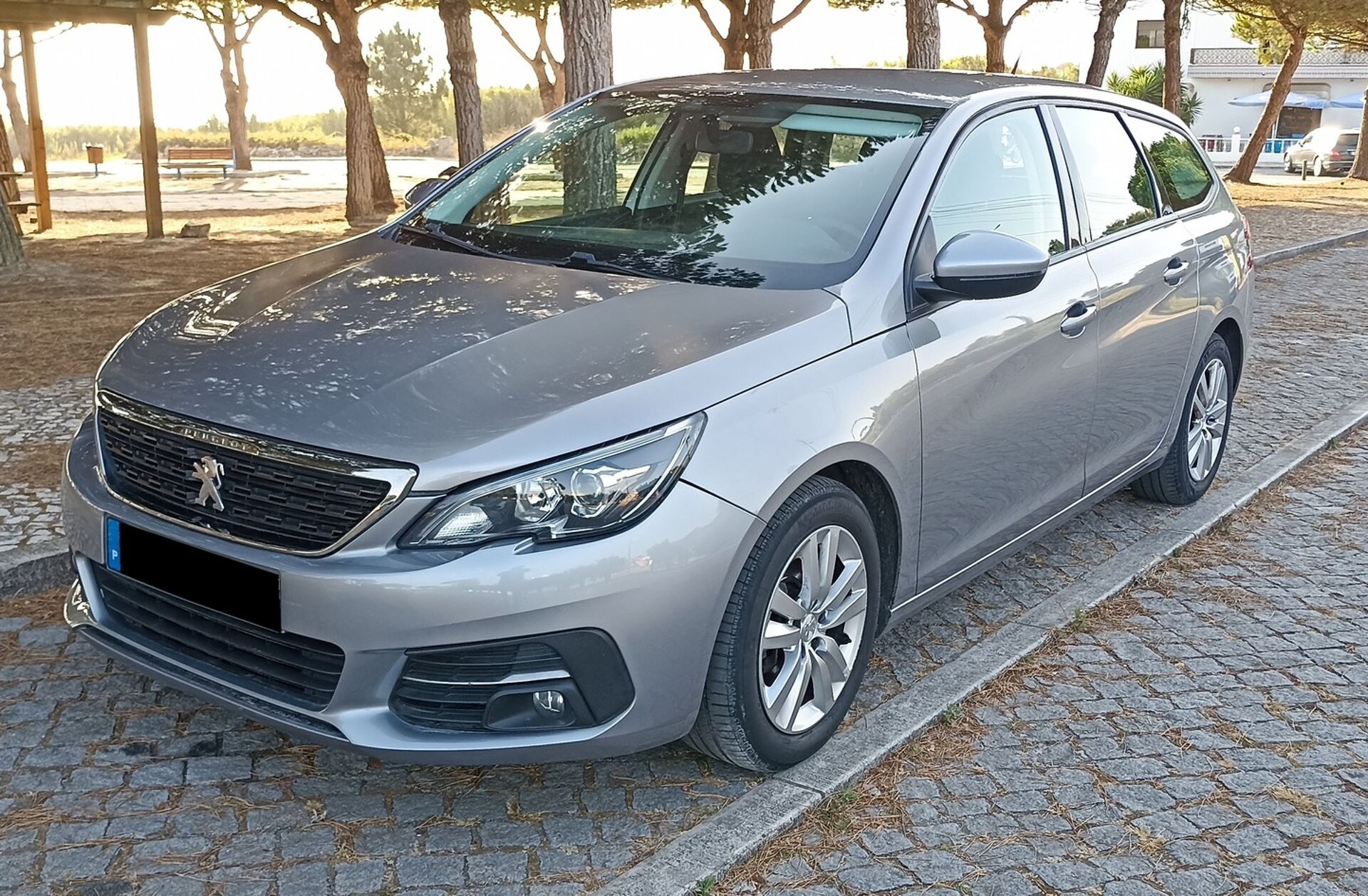 PEUGEOT 308 SW 1.6 BlueHDi Active