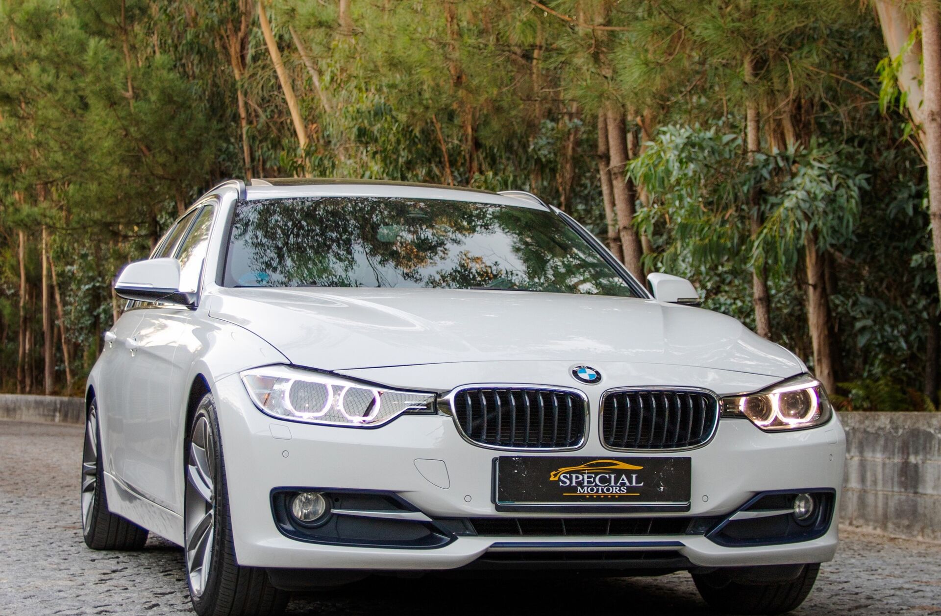 BMW Serie-3 318 d Touring Line Sport Auto