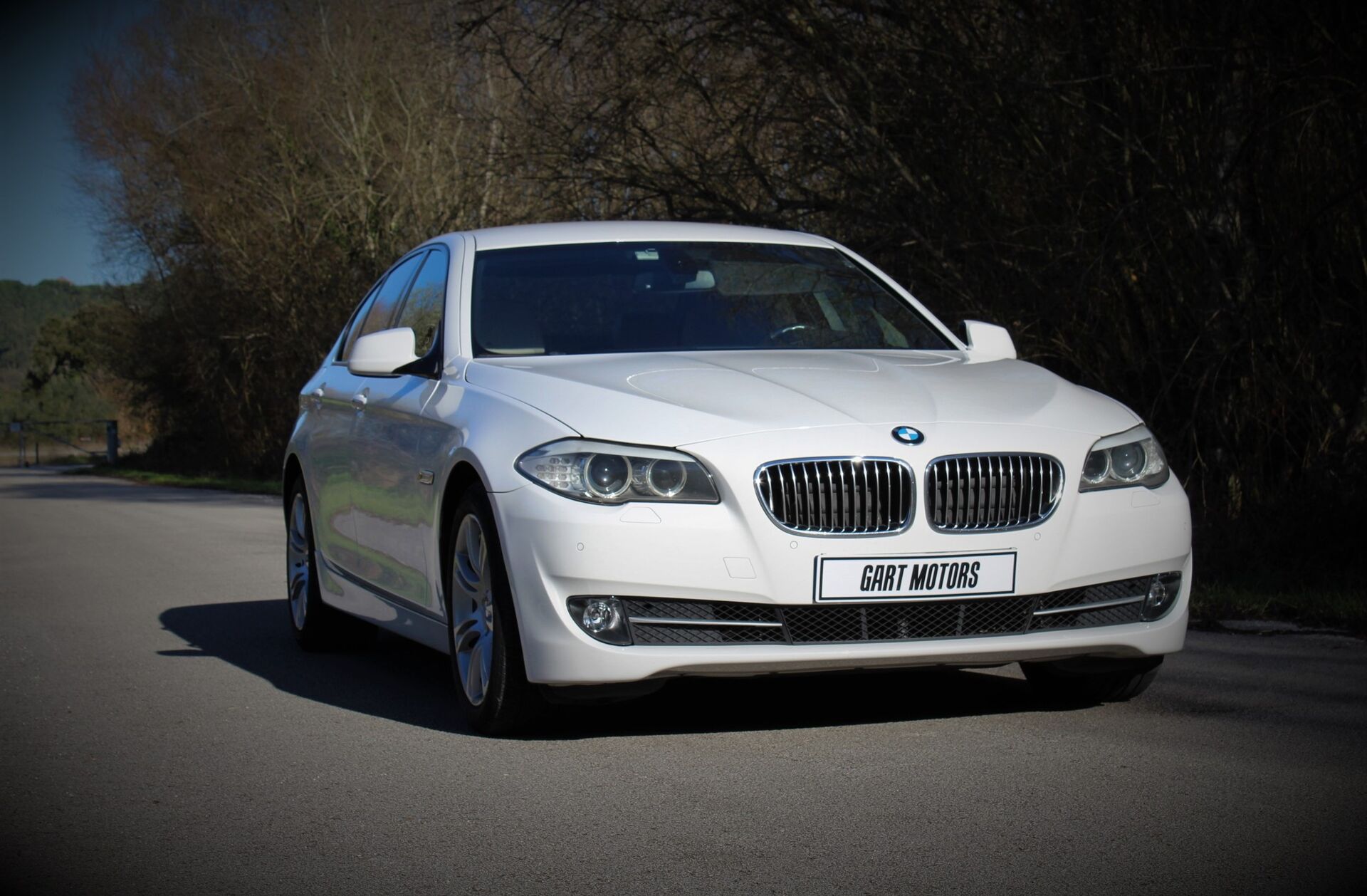 BMW Serie-5 530 d Auto